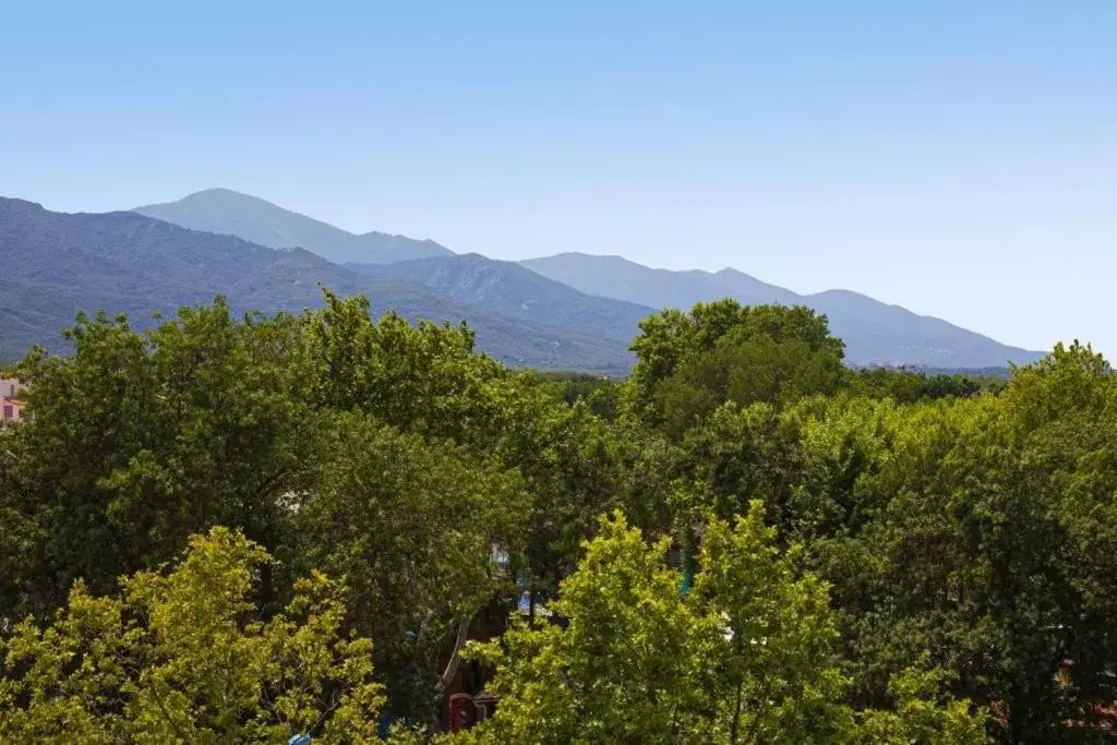 Mountain View in Hotel Centre Plage