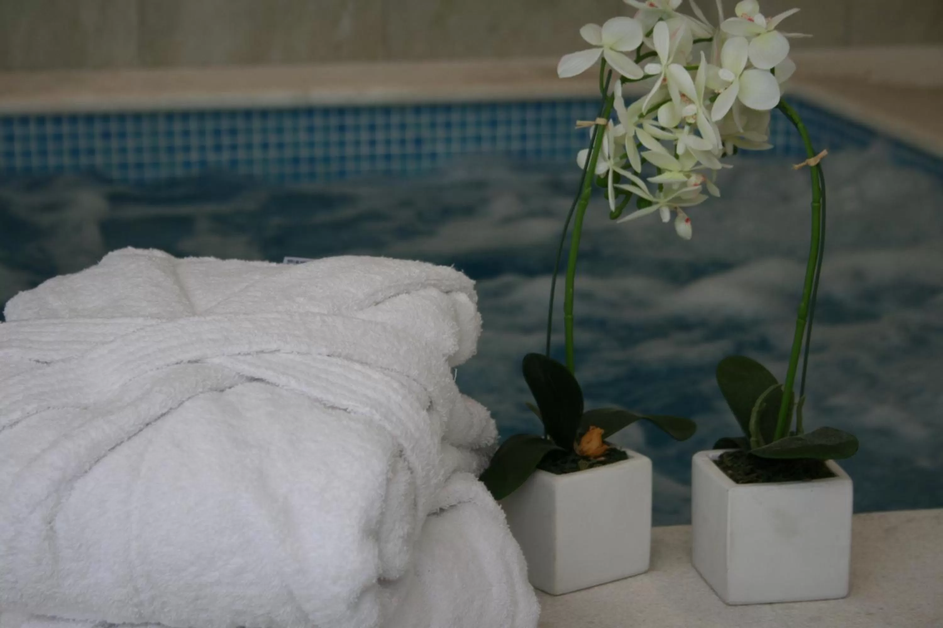 Swimming pool in Hotel Alba