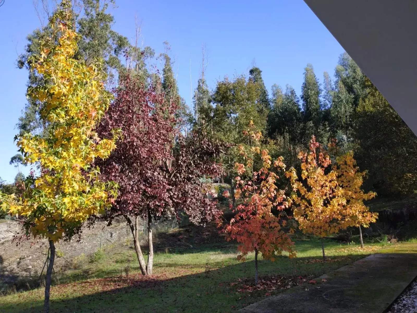 Garden in Casa de Apeleiras