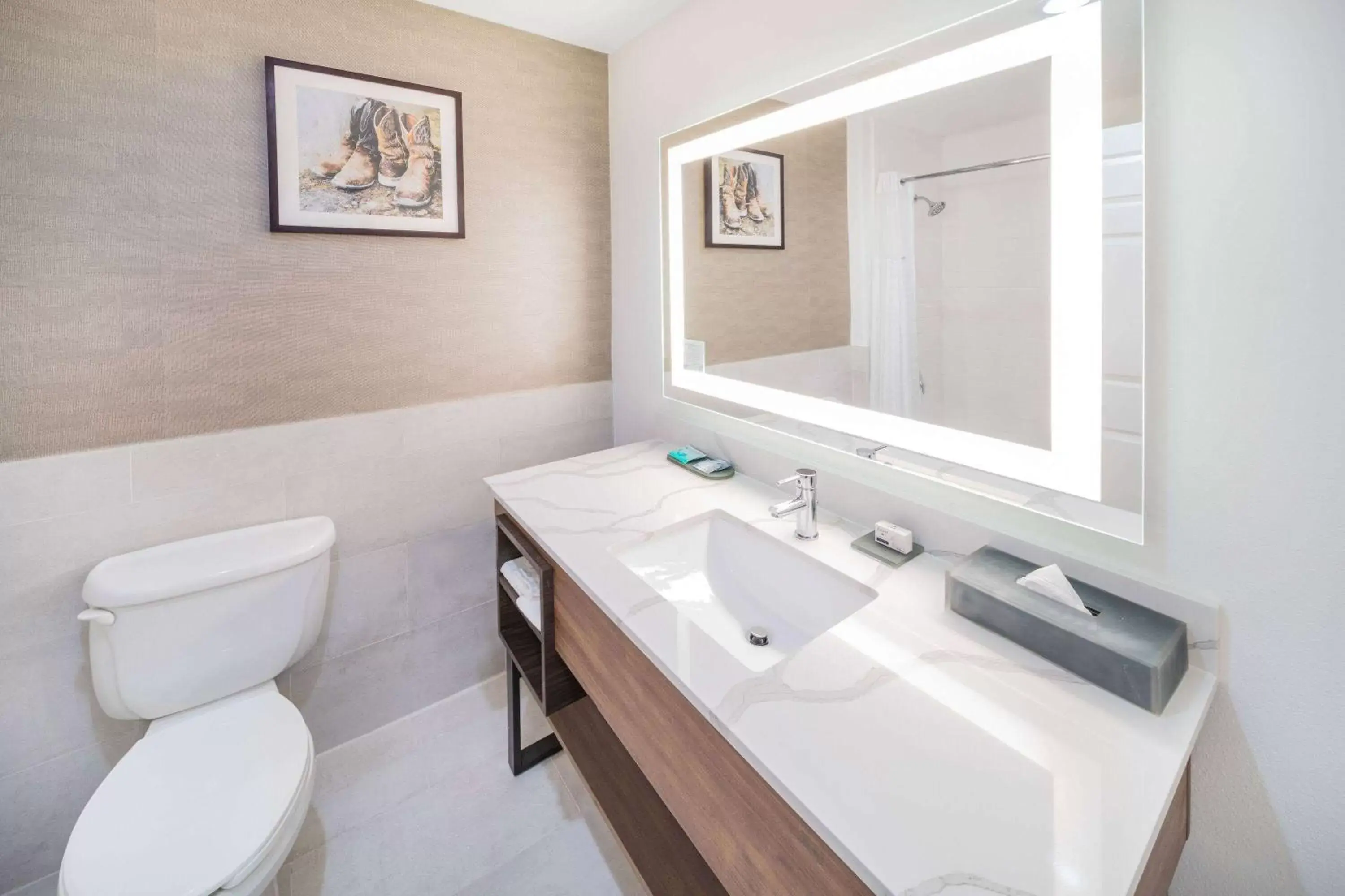 TV and multimedia, Bathroom in La Quinta Inn & Suites by Wyndham Pharr RGV Medical Center