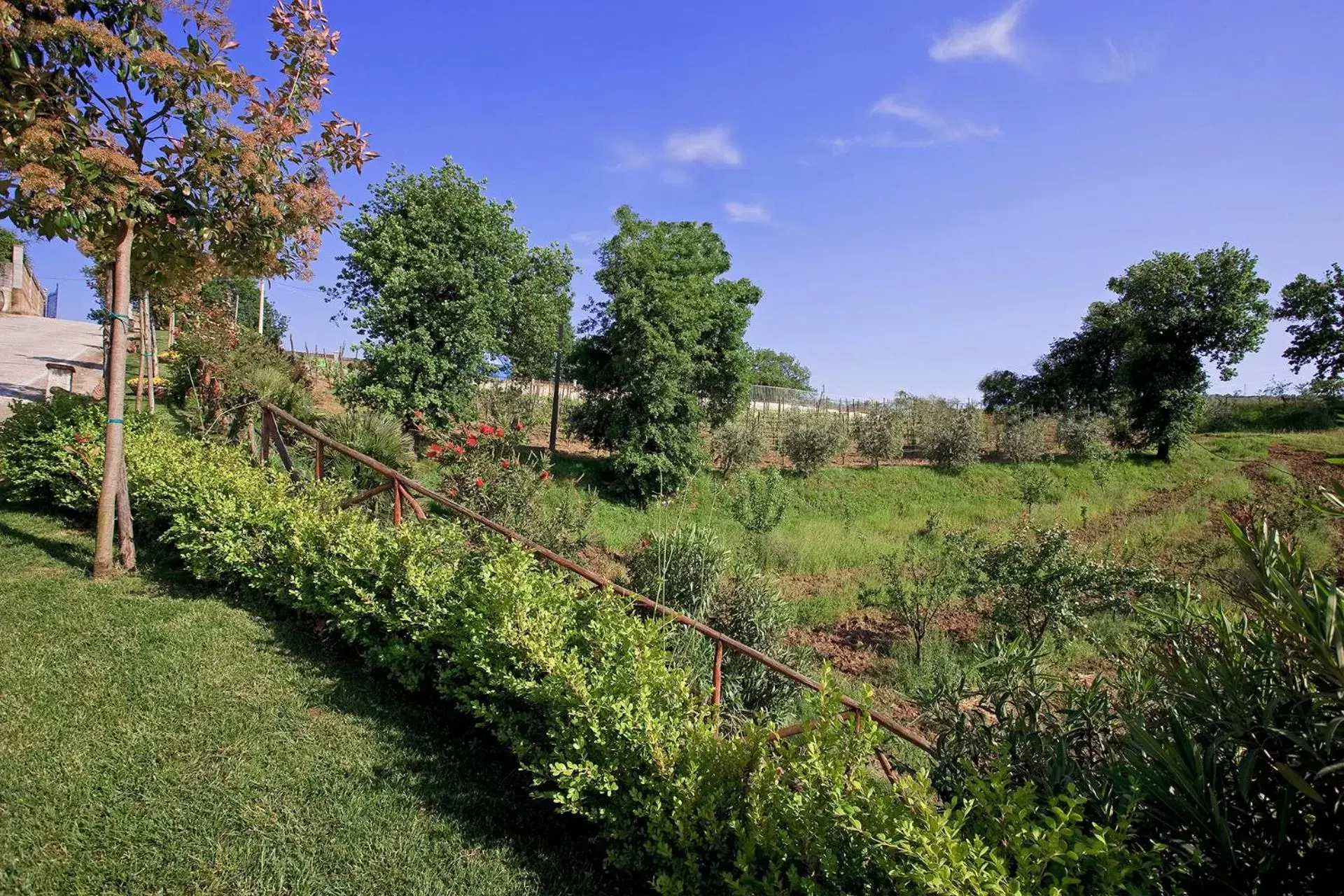 Garden, Natural Landscape in Tenuta D'Amore