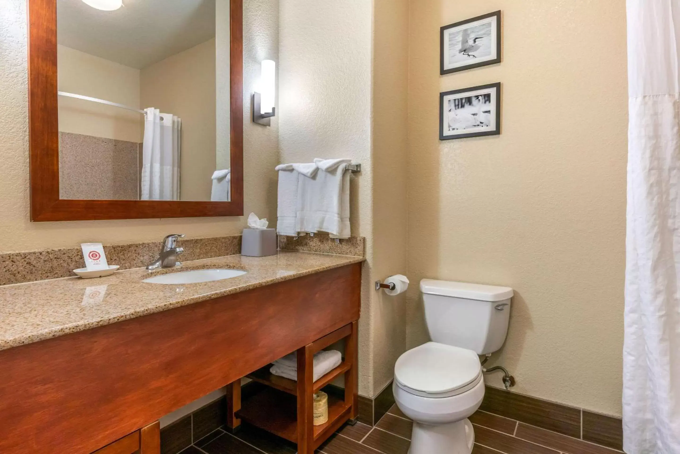 Bathroom in Comfort Inn & Suites Galt – Lodi North