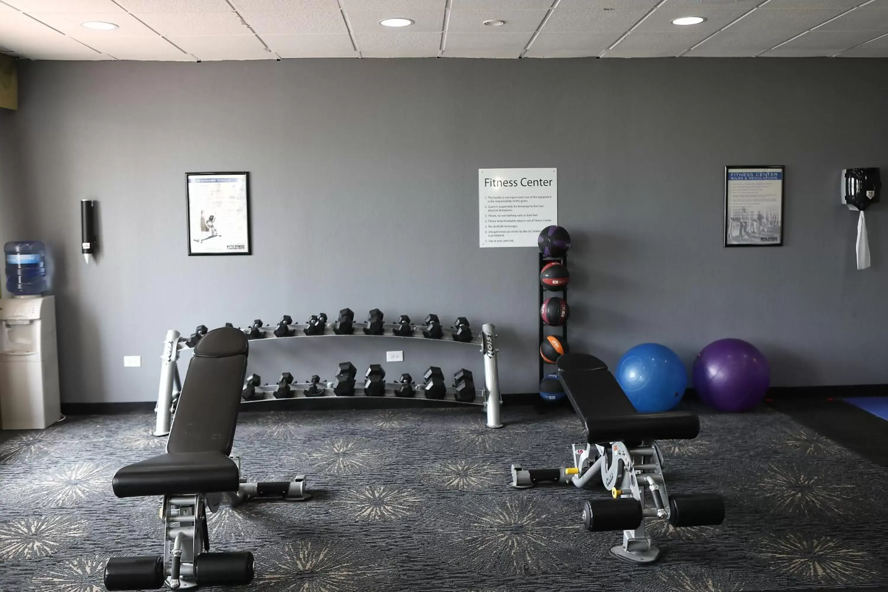 Spa and wellness centre/facilities, Fitness Center/Facilities in Holiday Inn Chicago/Oak Brook, an IHG Hotel