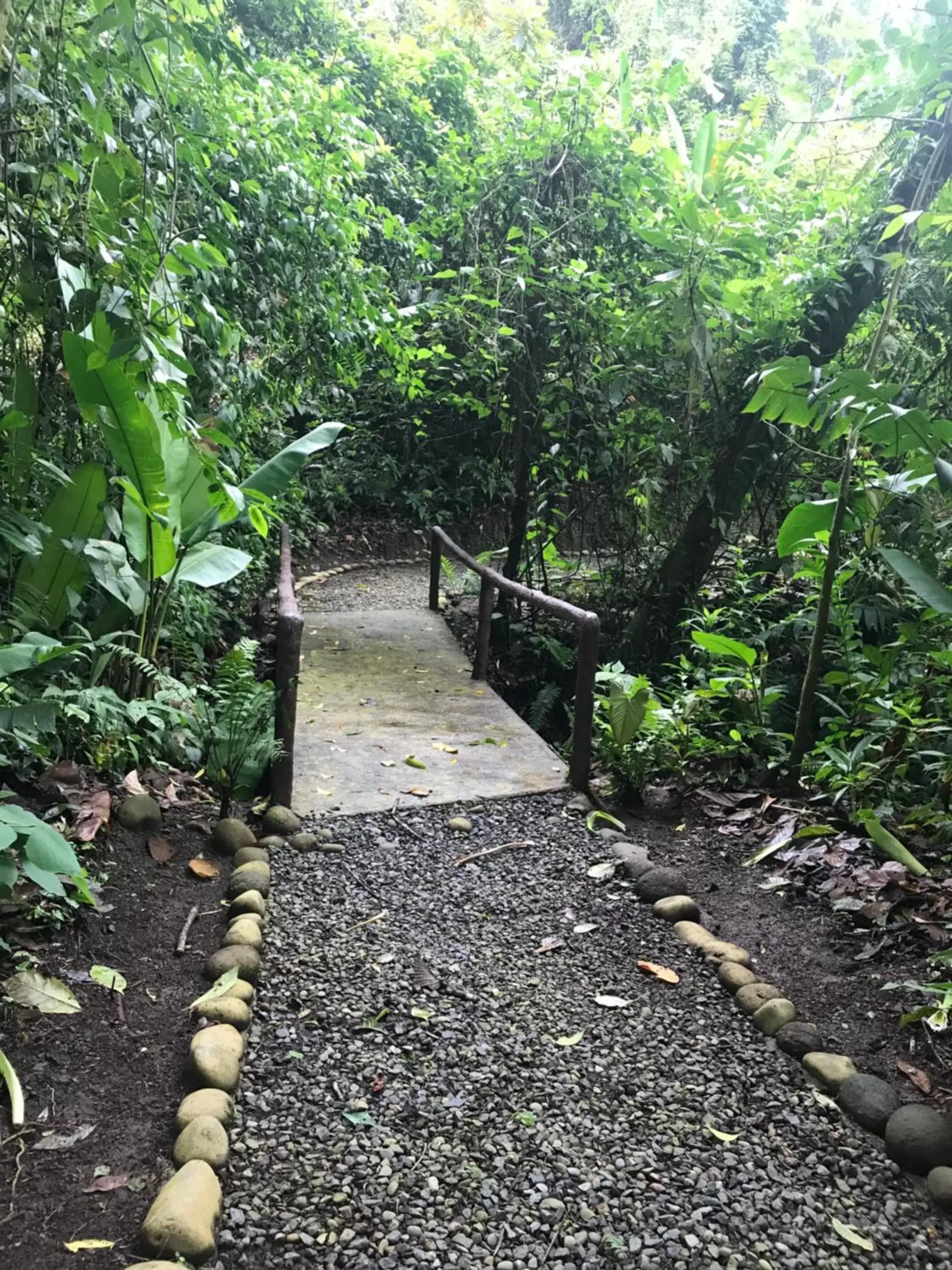 Natural landscape in Arenal Roca Suites