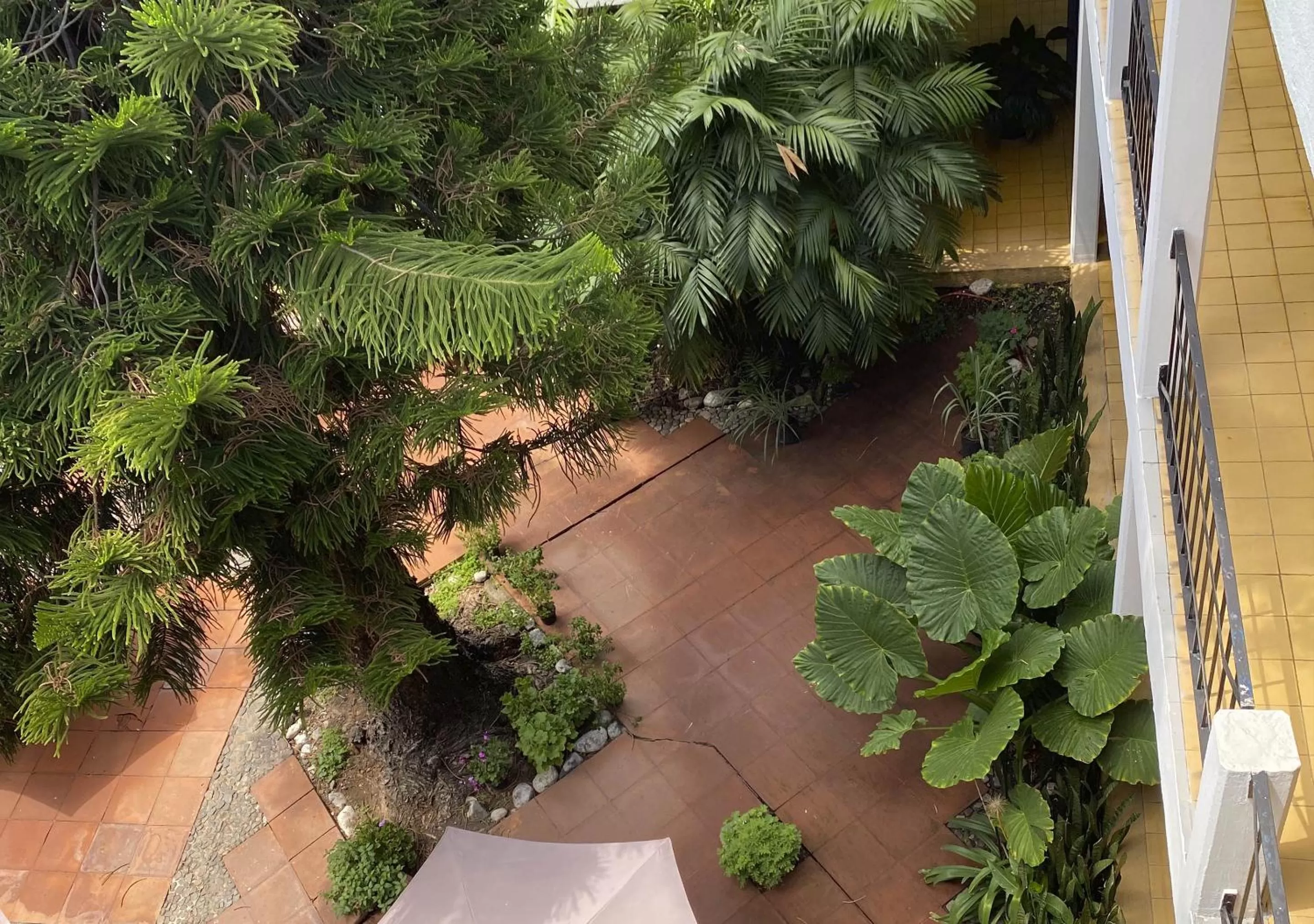 Garden view in Hotel Allende Morelia