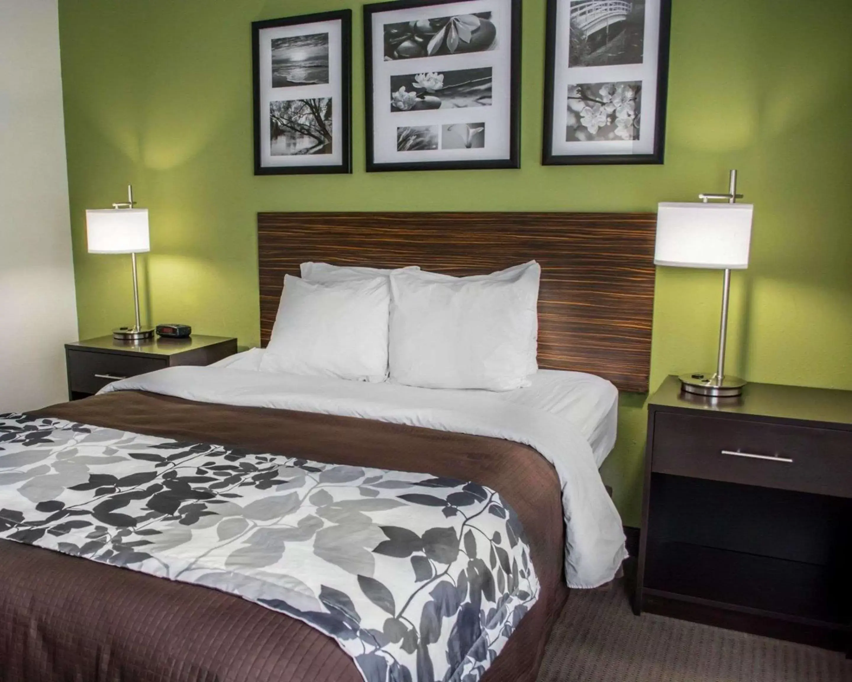 Photo of the whole room, Bed in Sleep Inn Historic Williamsburg