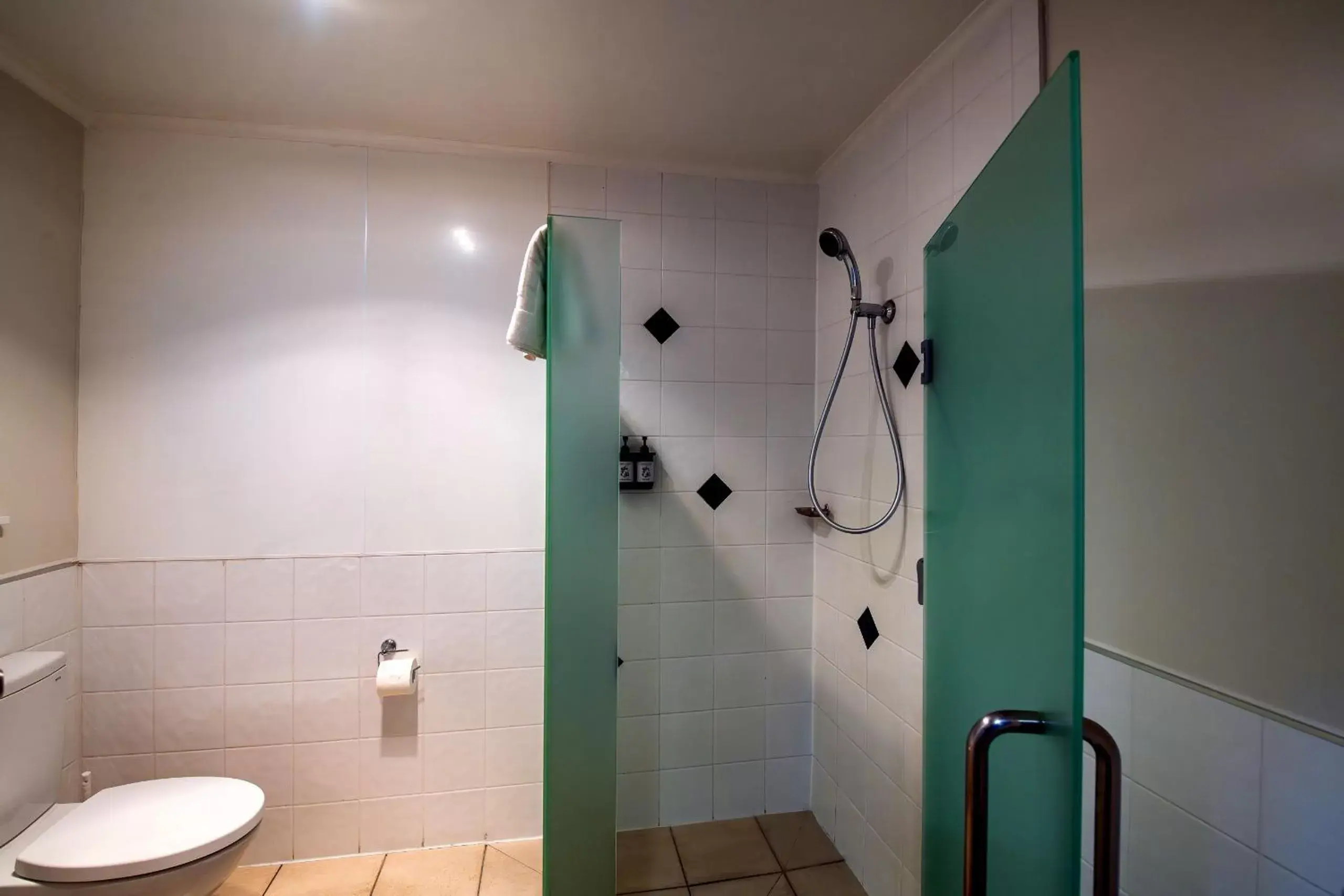 Shower, Bathroom in Best Western Braeside Rotorua