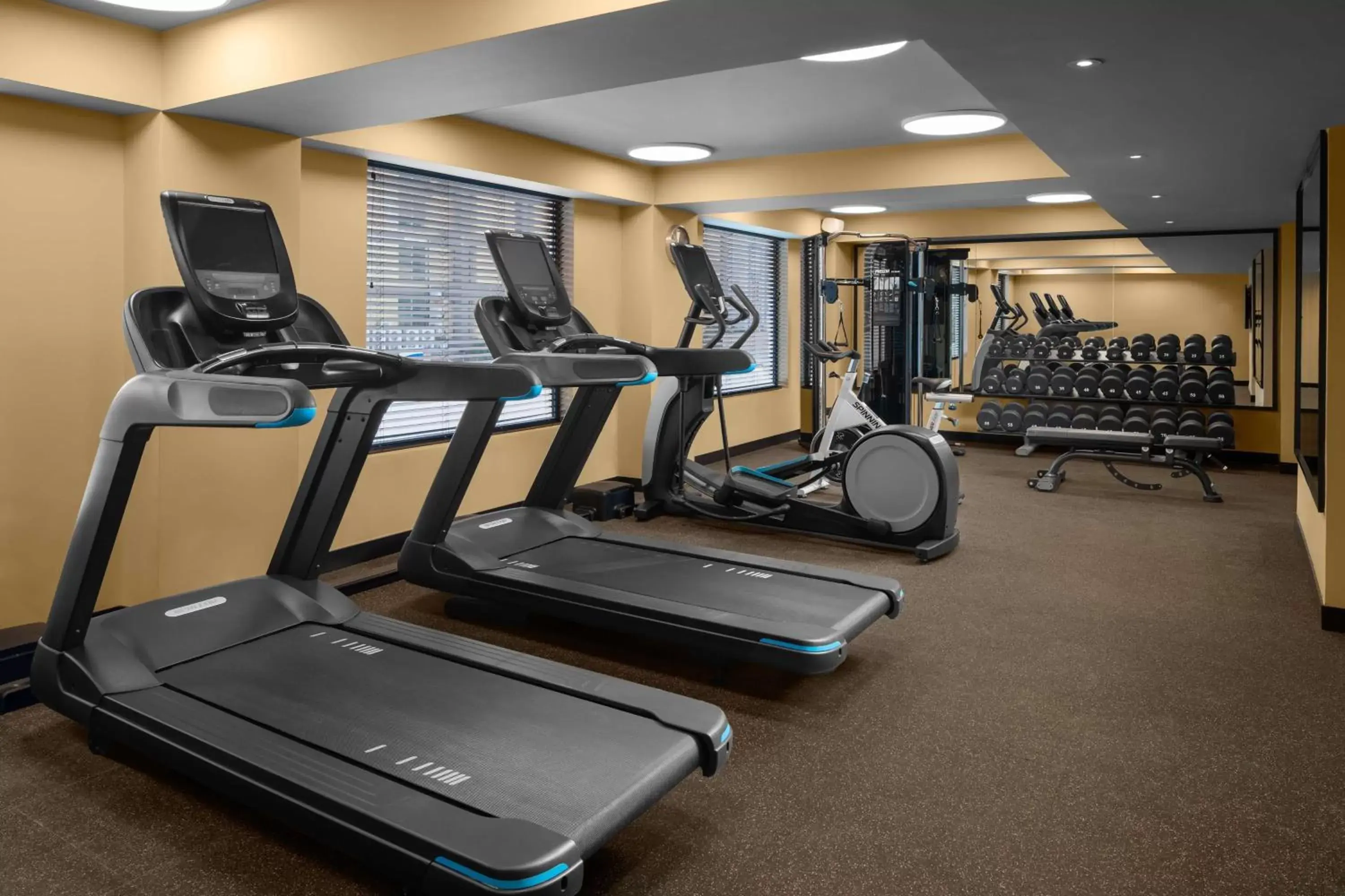 Fitness centre/facilities, Fitness Center/Facilities in ROK Hotel Kingston Tapestry Collection By Hilton