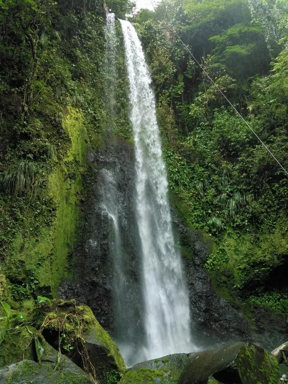 Natural Landscape in Hotel Michelle