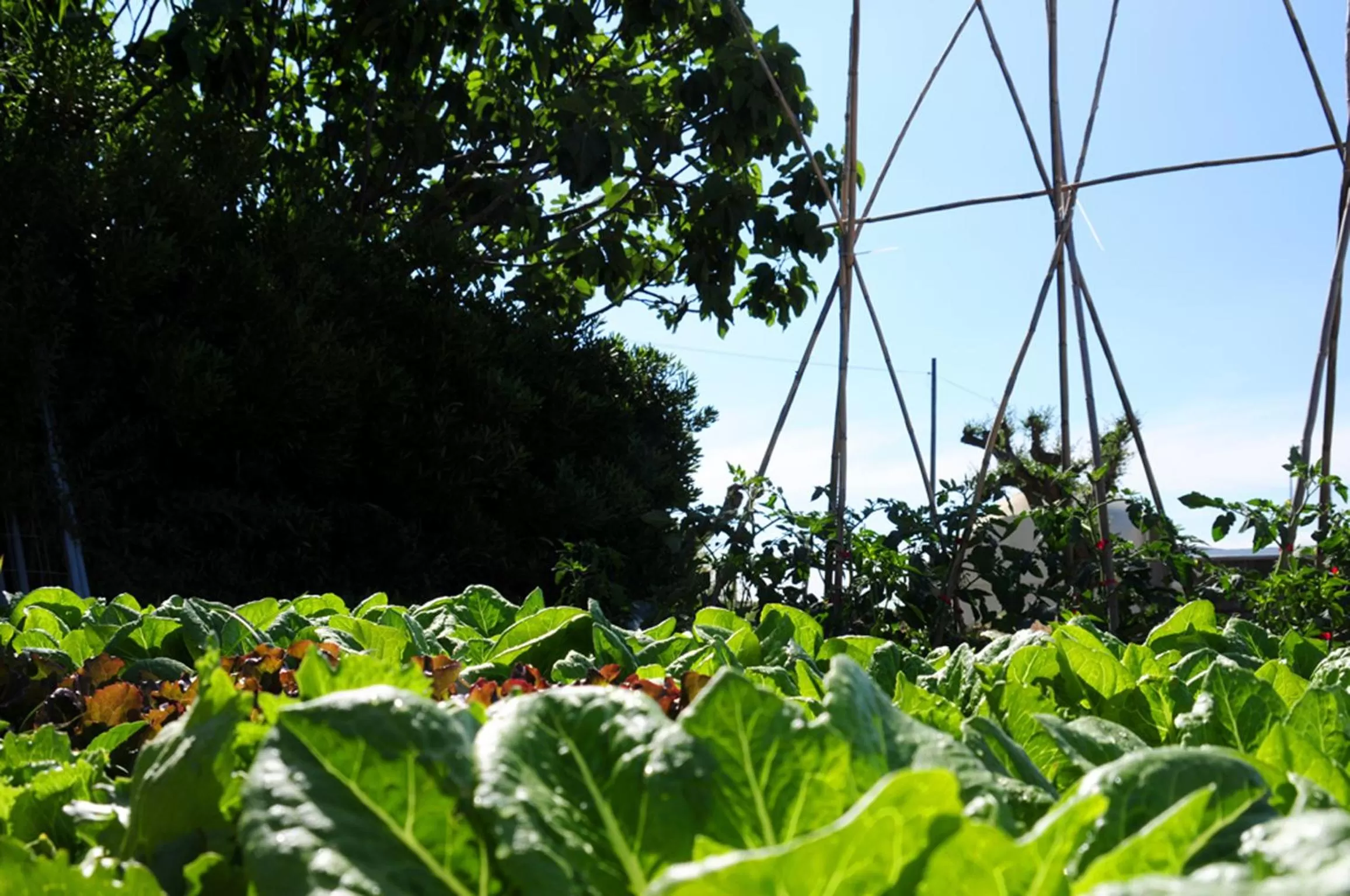 Natural landscape in Agriturismo Frontemare