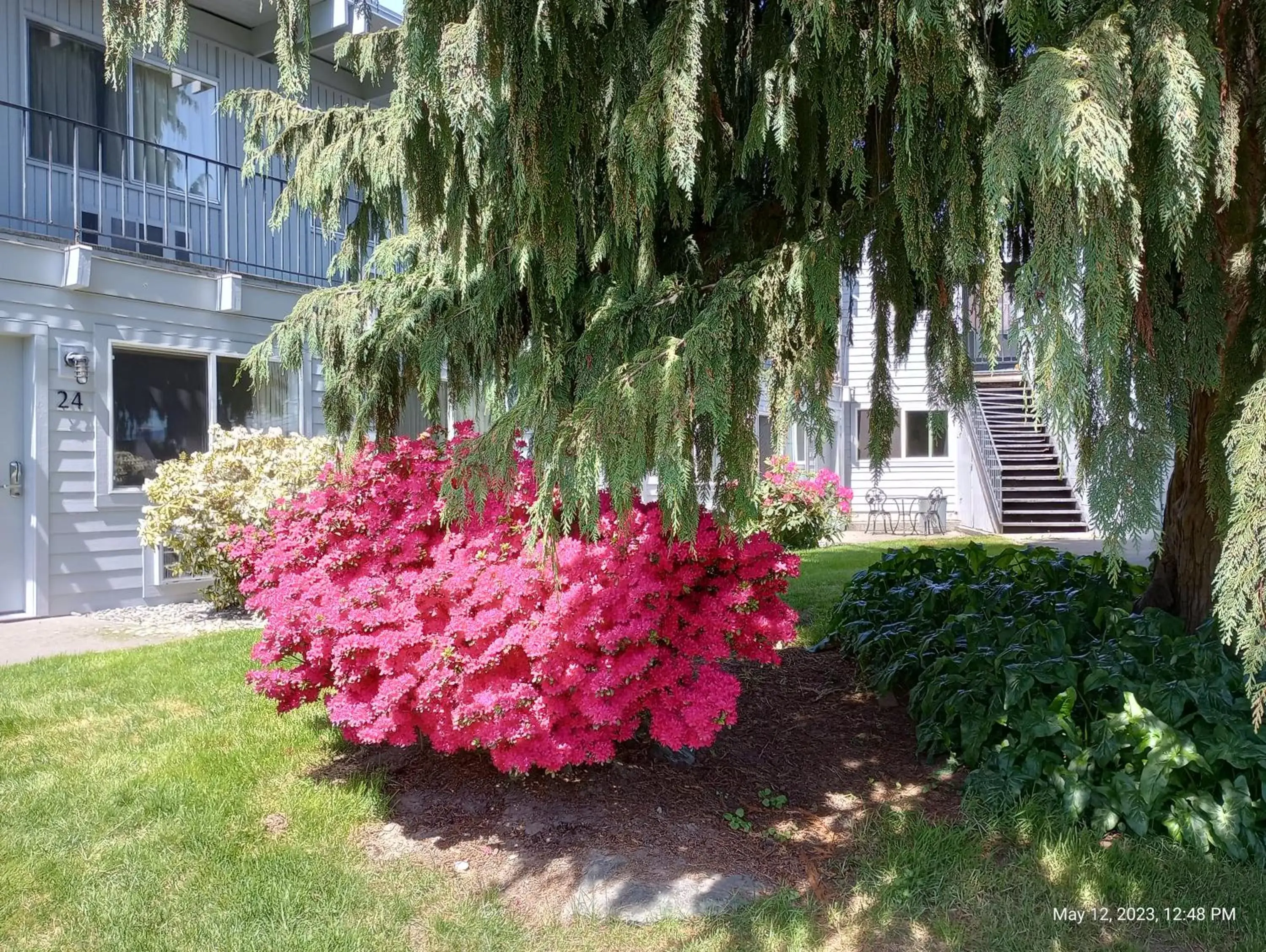 Natural landscape, Property Building in Cocusa Motel