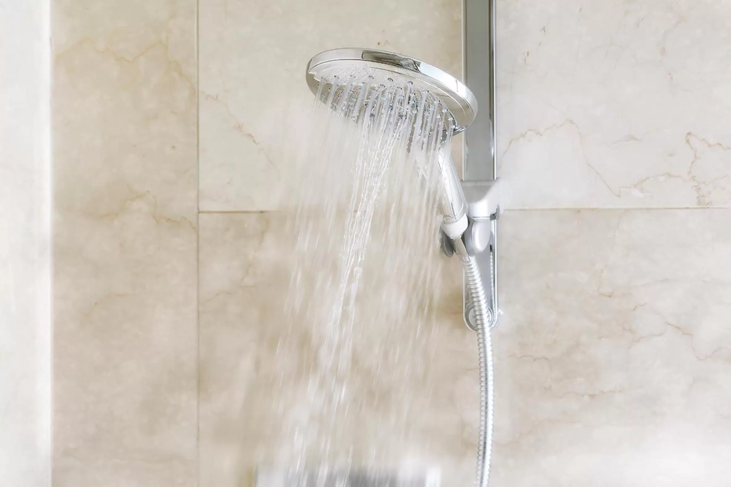 Premier Garden Suite Twin Room / Lounge and Spa Access in Hotel Chinzanso Tokyo