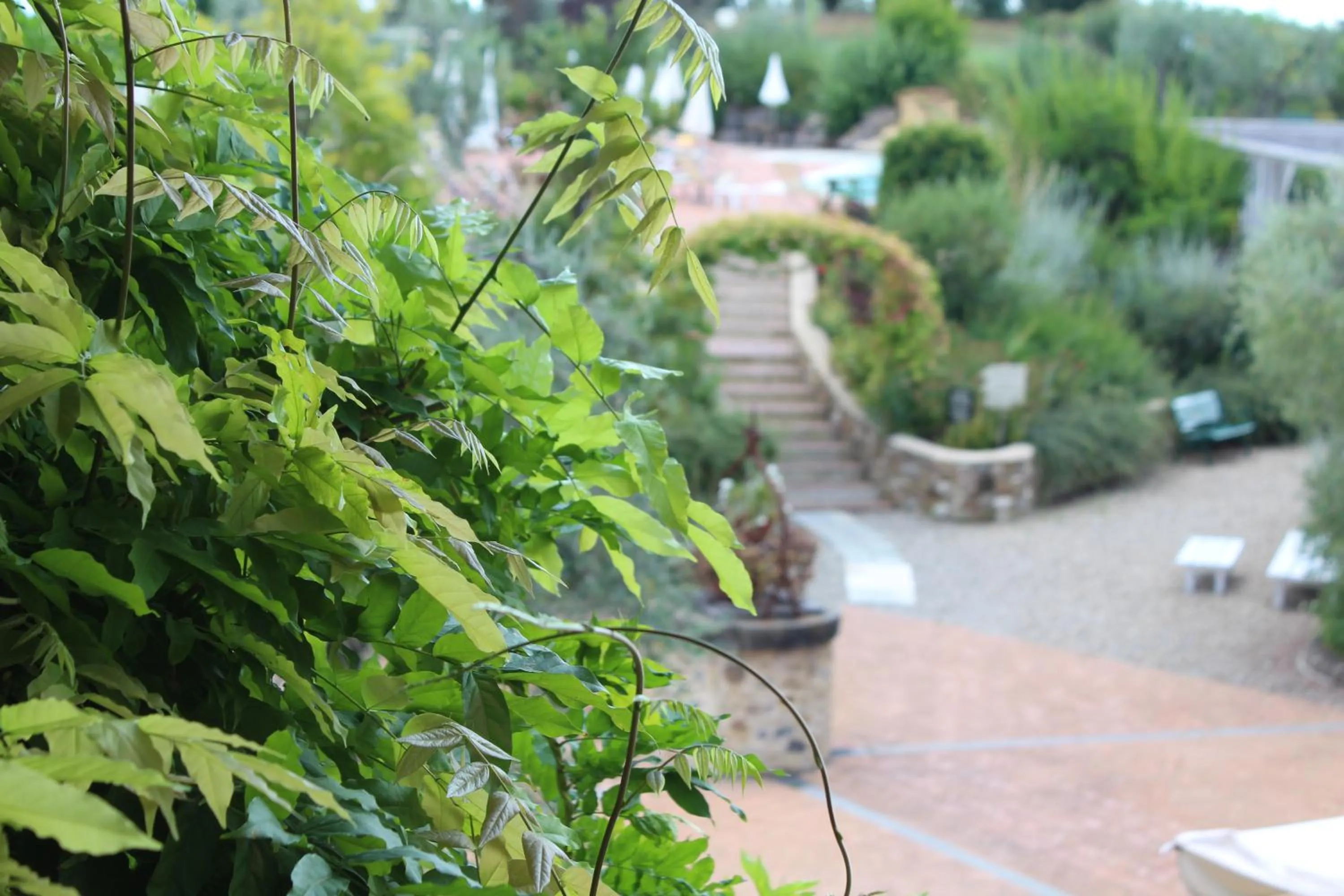 Garden in Hotel Borgo Di Cortefreda - Place of Charme