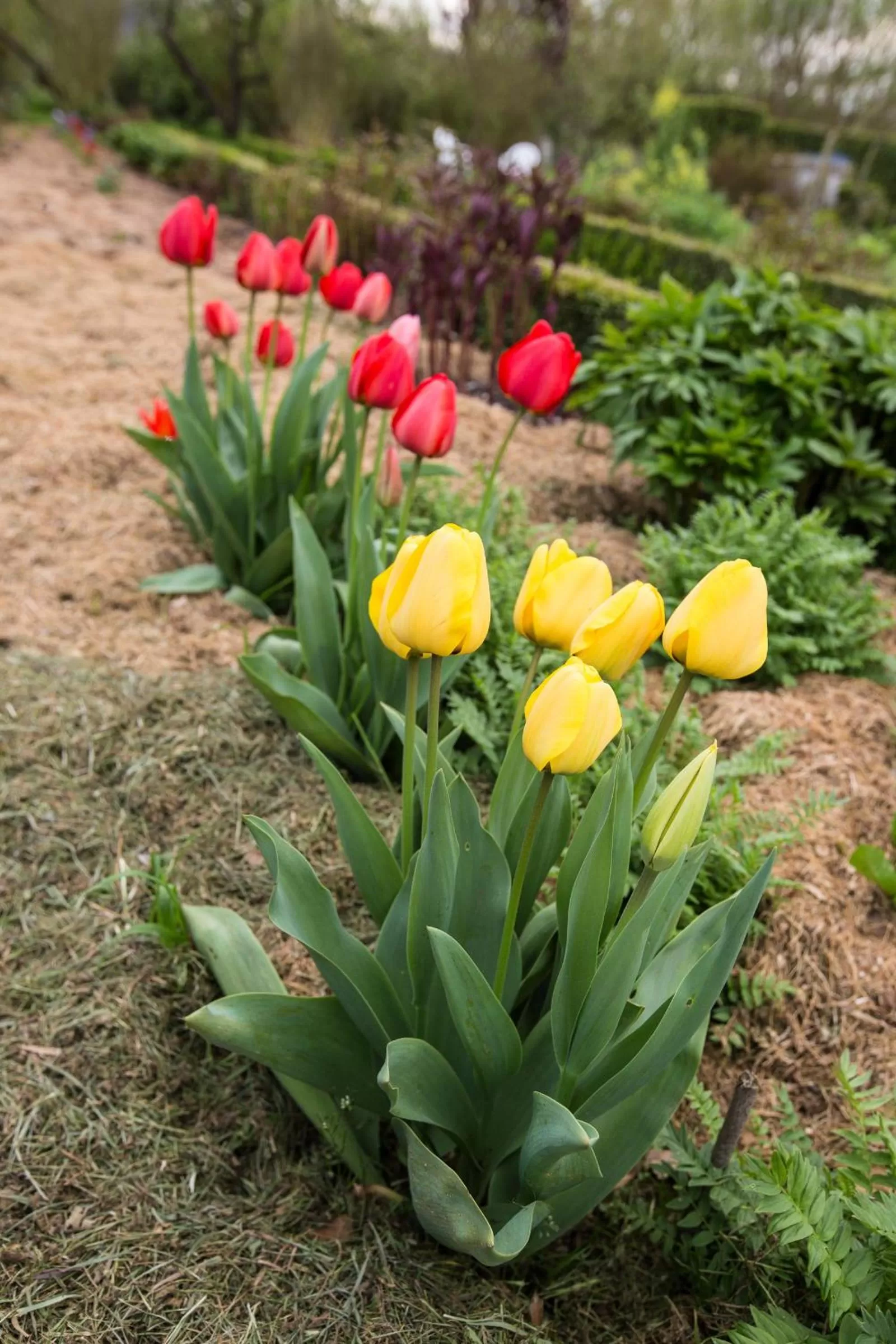 Other in Auberge du Manoir d'Archelles