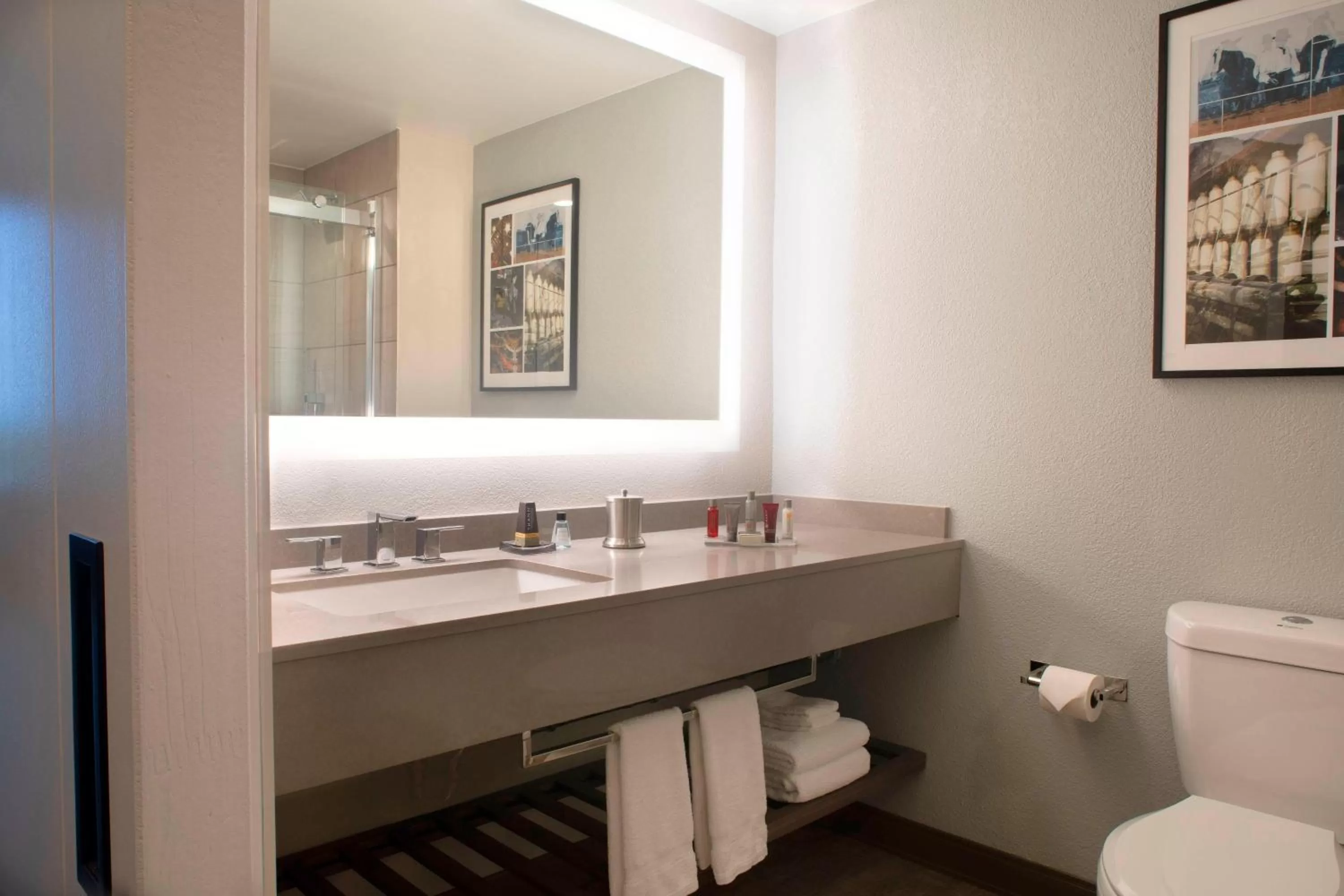 Bathroom in Winston-Salem Marriott