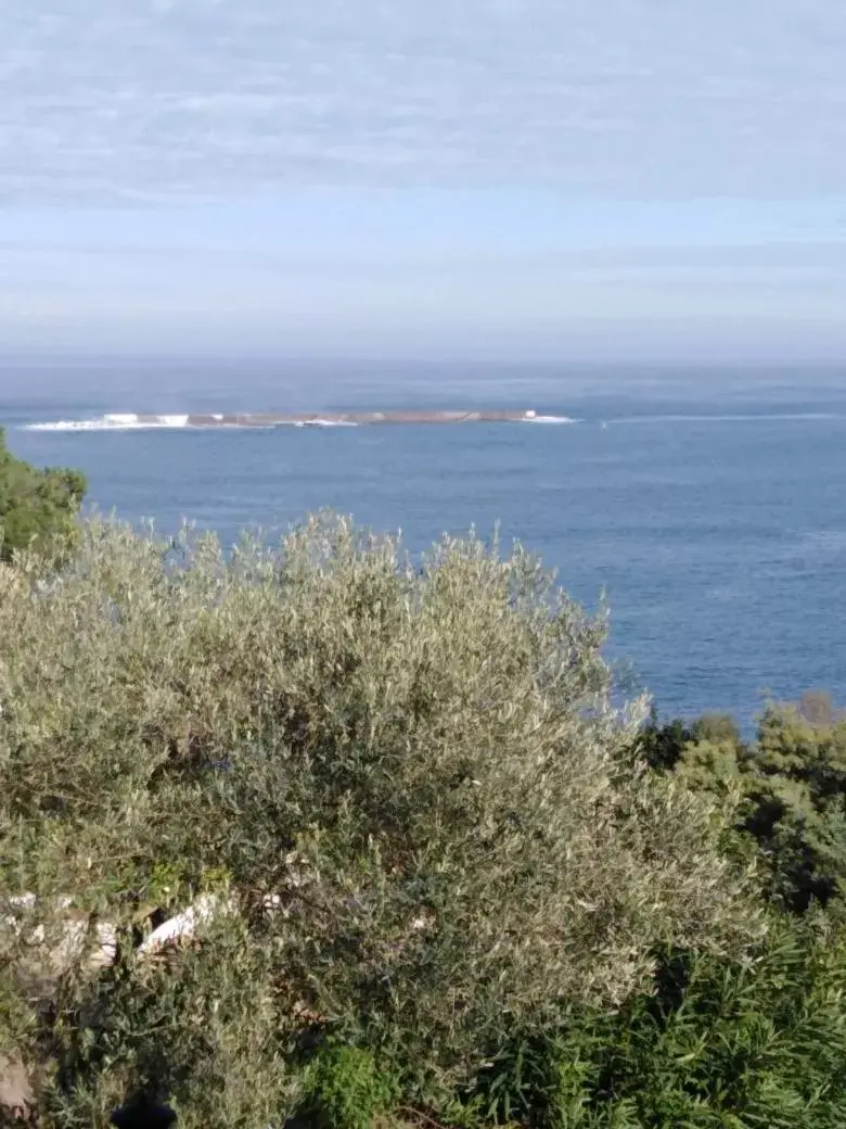 View (from property/room), Sea View in L'Annexe