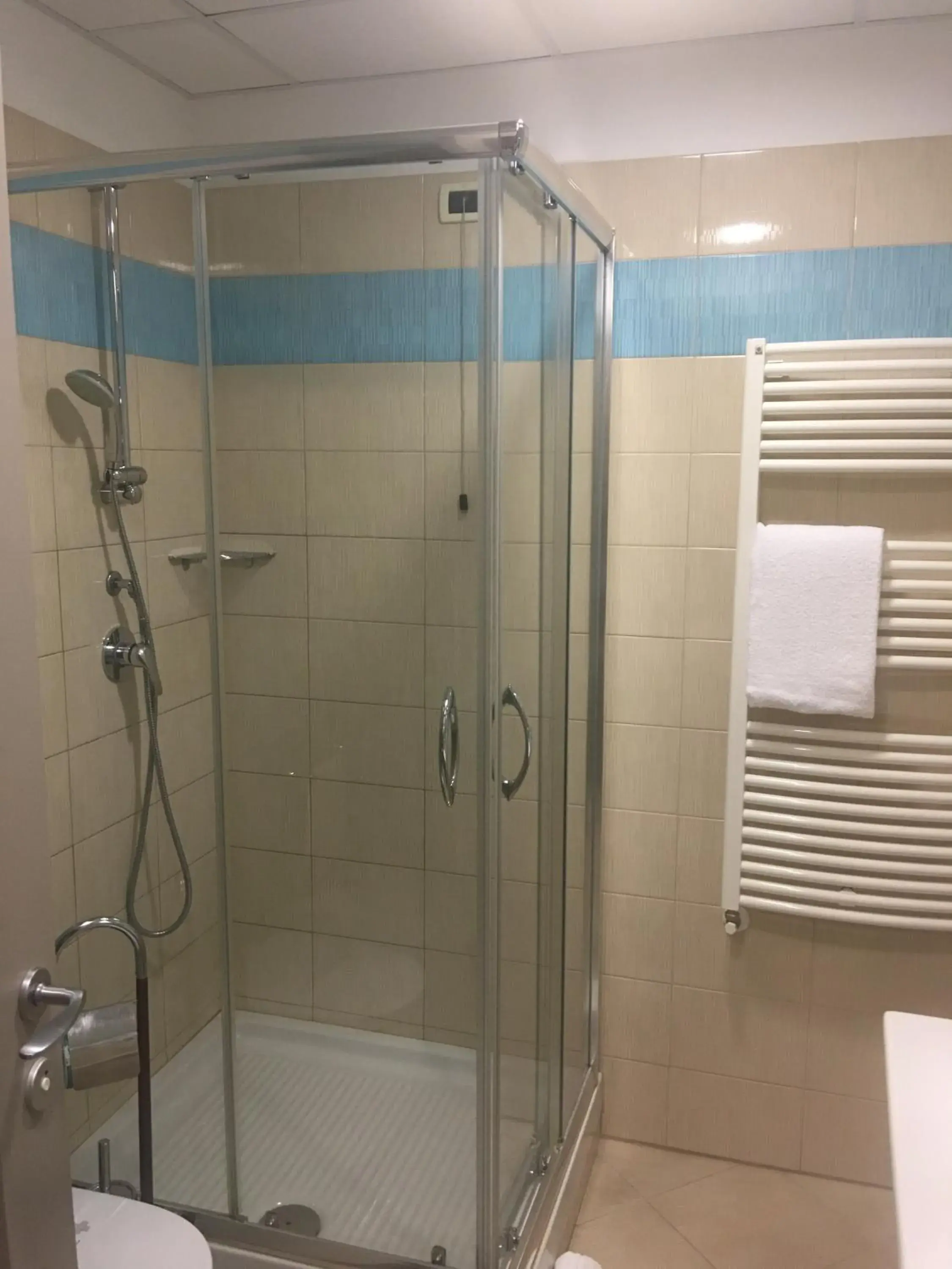 Shower, Bathroom in Hotel Niagara