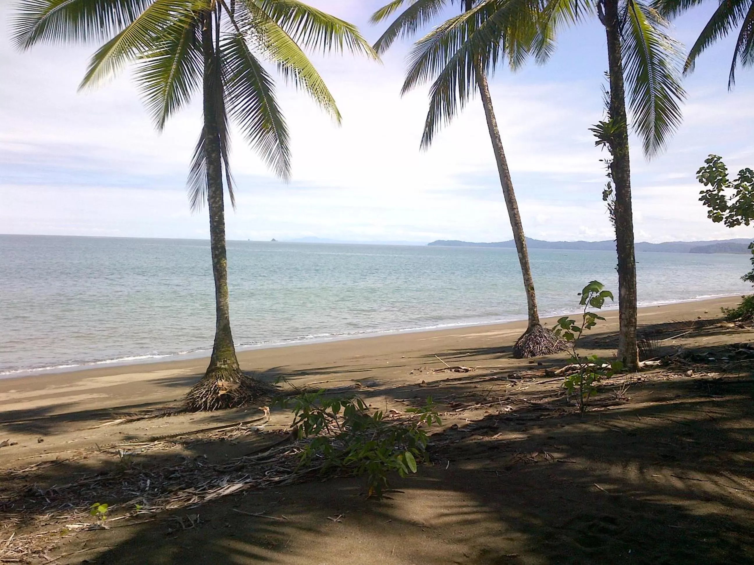 Activities in Posada Turística Rocas De Cabo Marzo