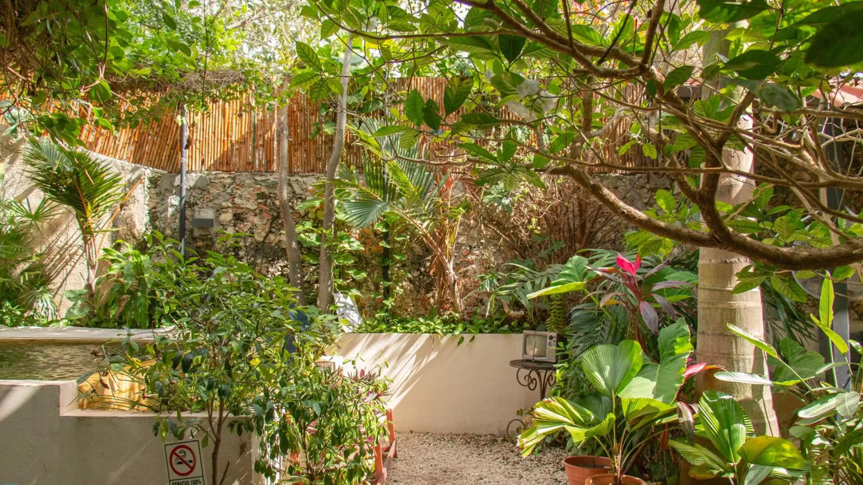 Garden in Kuka y Naranjo