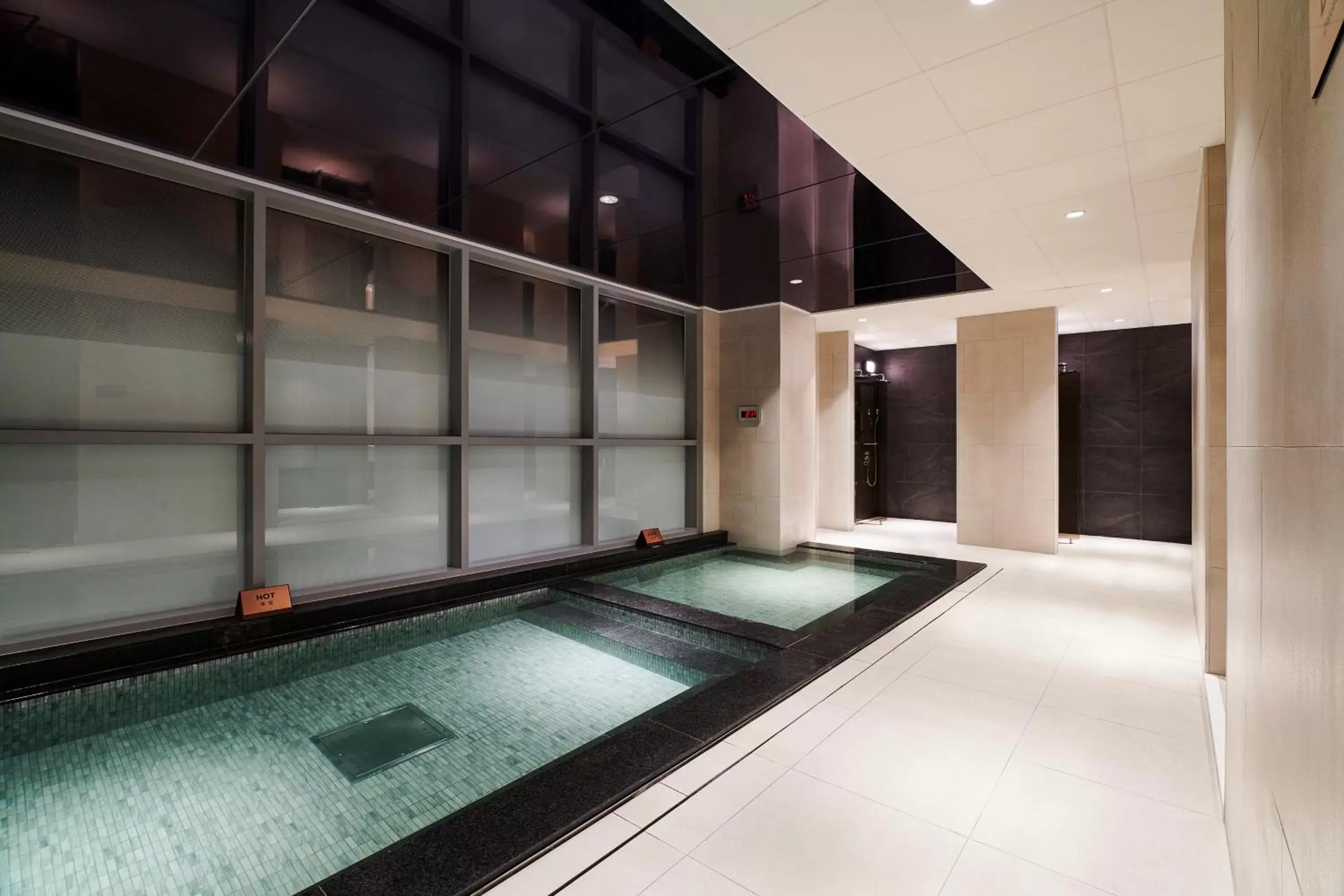 Sauna, Swimming Pool in ibis Styles Ambassador Incheon Airport T2