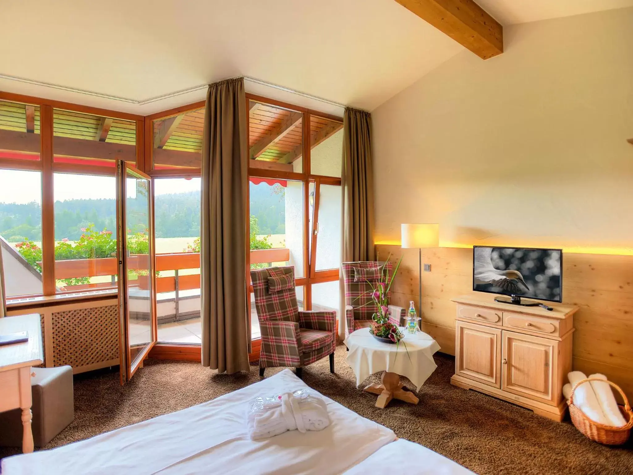 Double Room in Hotel Grüner Wald Double Room in Hotel Grüner Wald