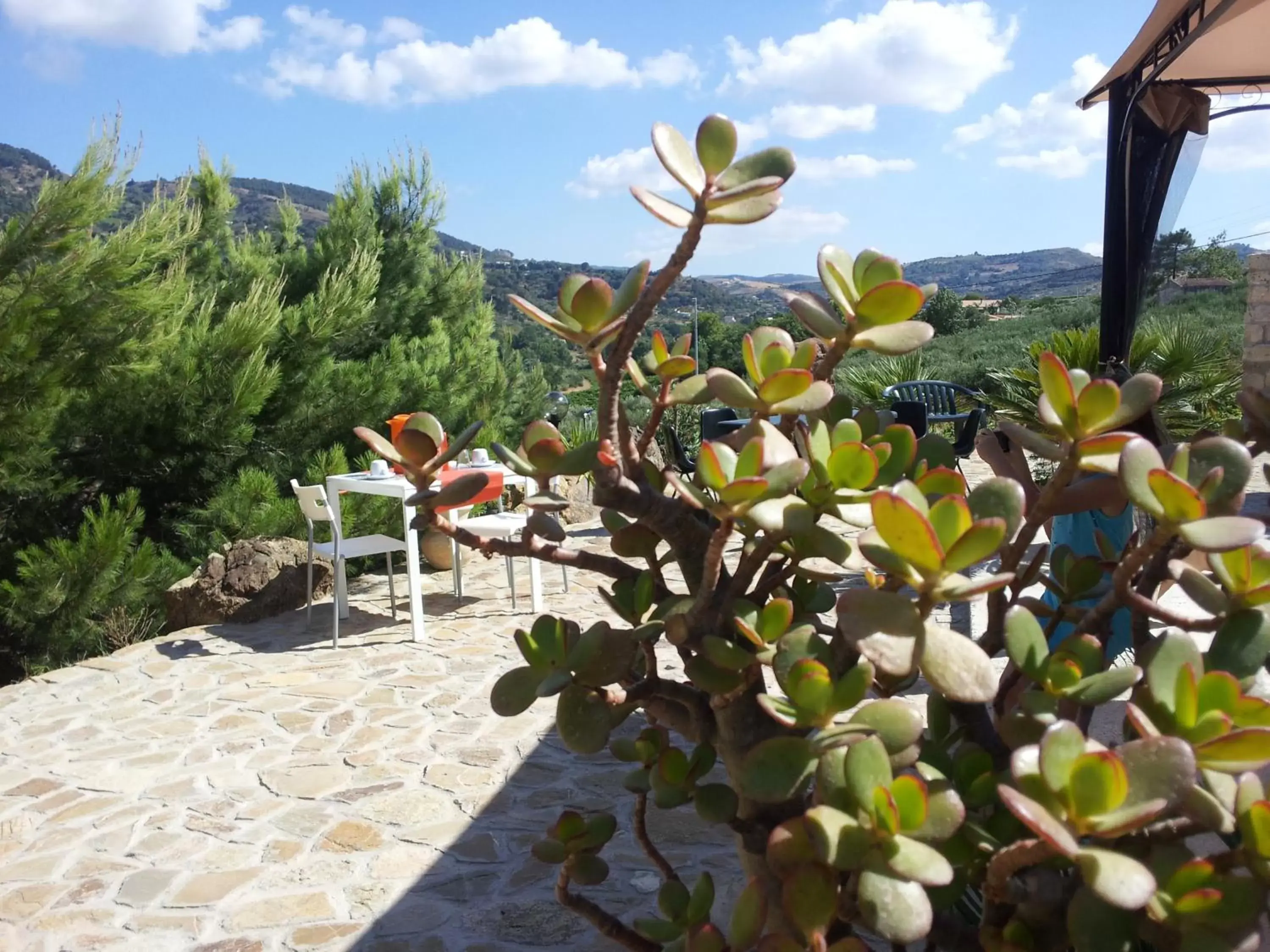 Facade/entrance in La Suite Di Segesta