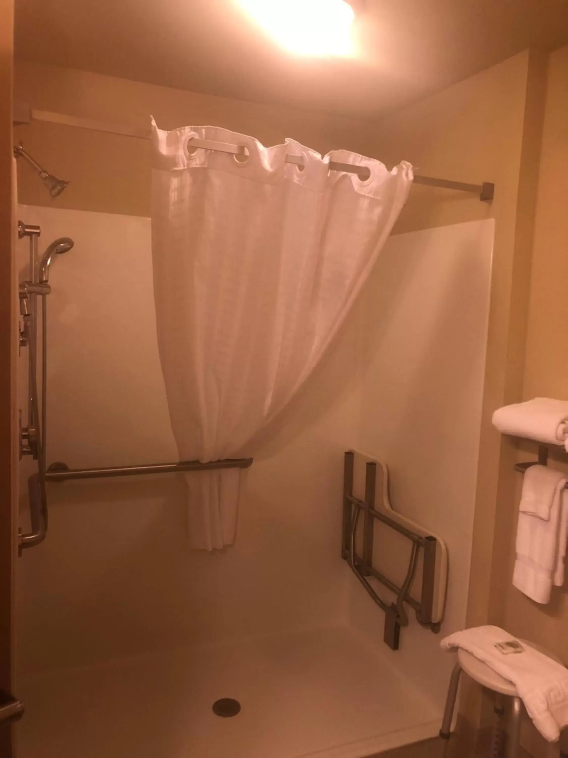 Shower, Bathroom in Cobblestone Inn & Suites - Eads
