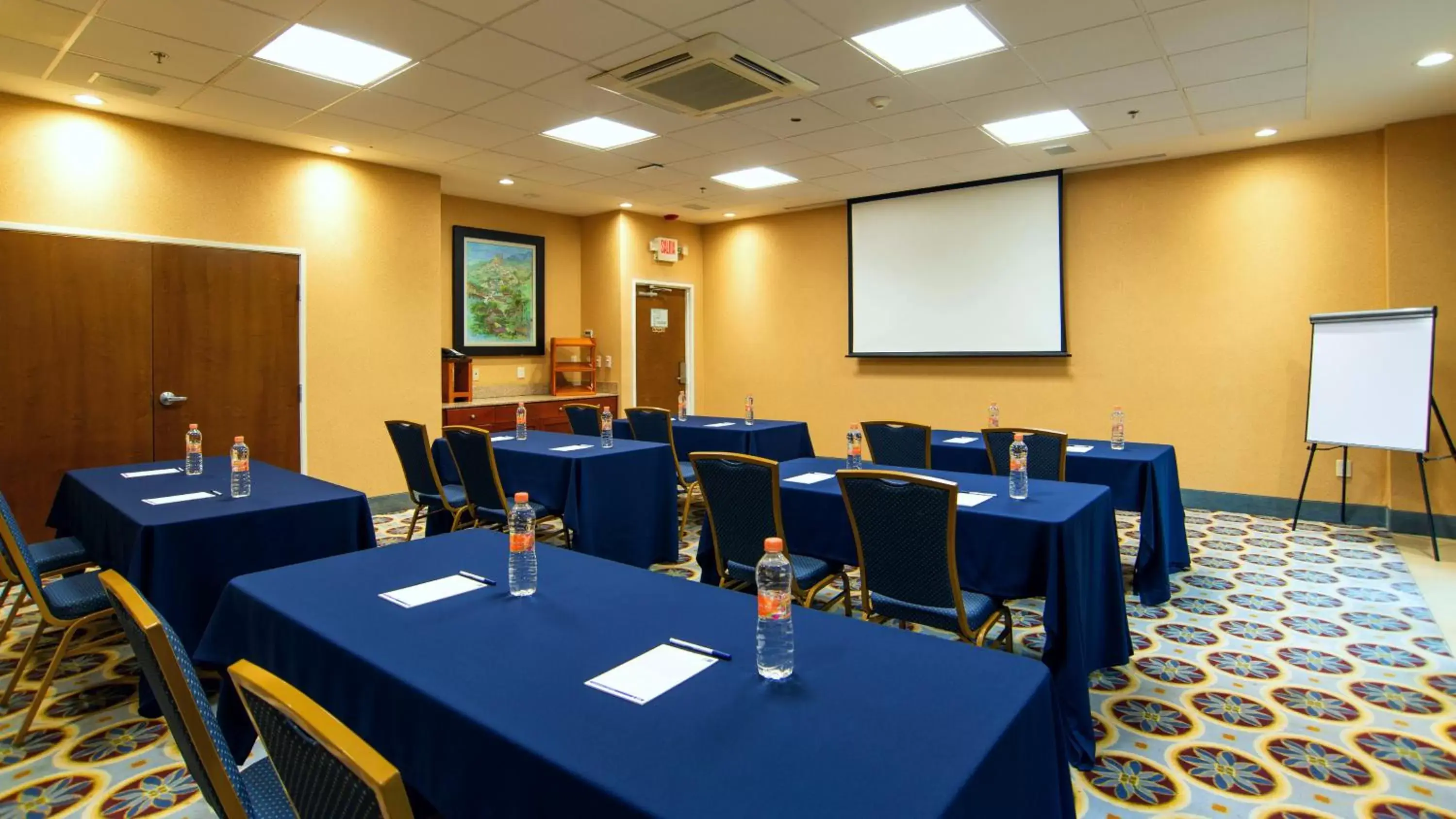 Meeting/conference room in Holiday Inn Express & Suites Cuernavaca, an IHG Hotel