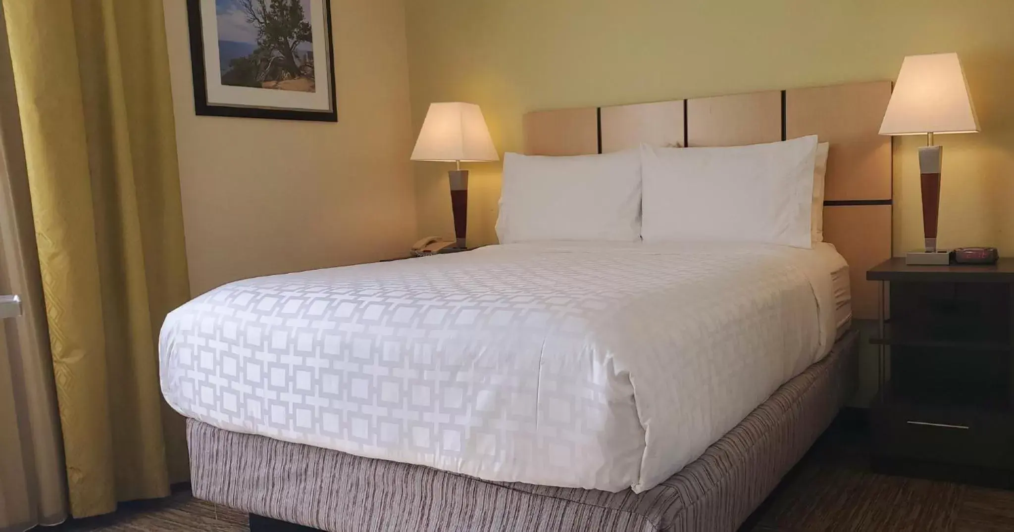 Photo of the whole room, Bed in Candlewood Suites Houston Medical Center, an IHG Hotel