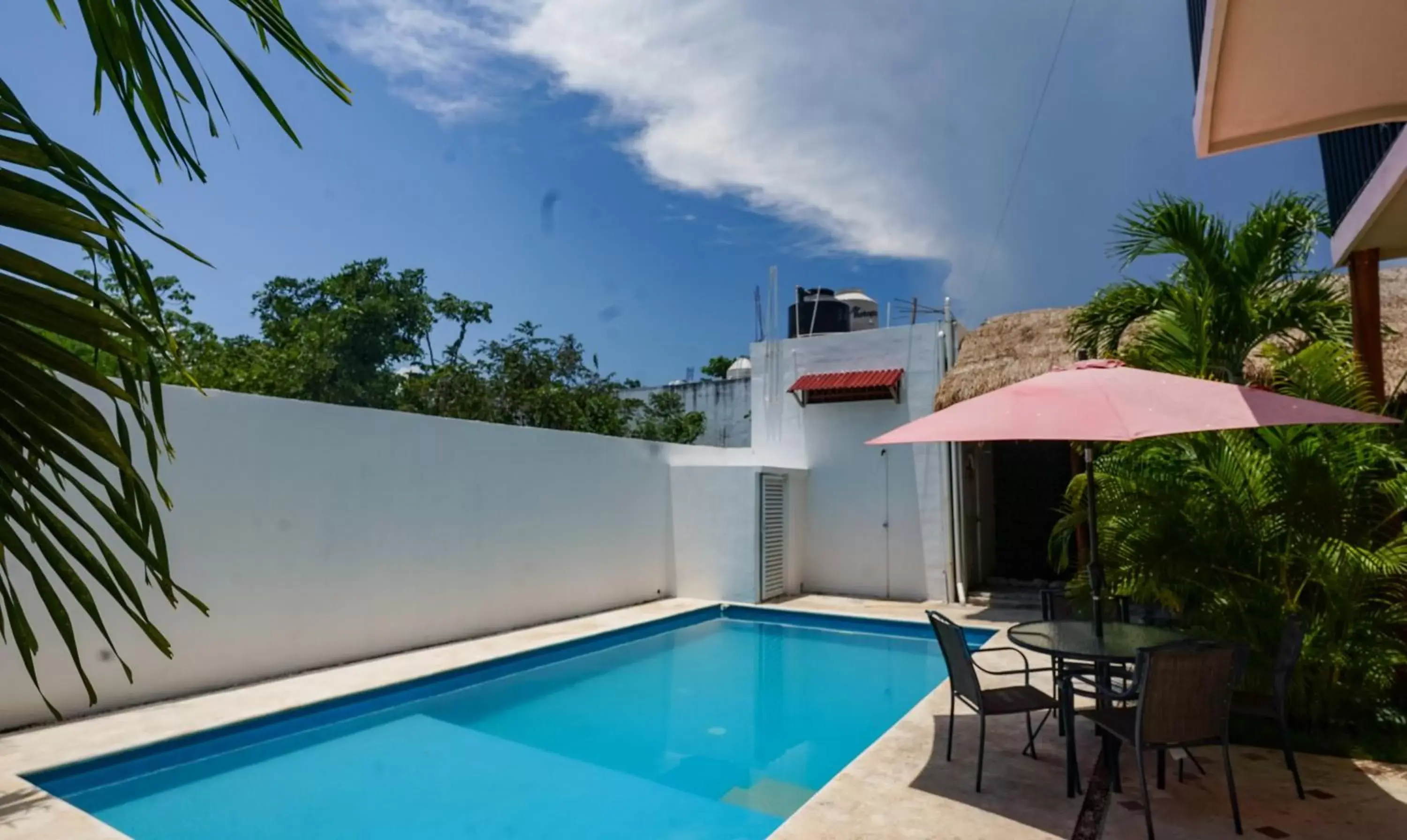 Swimming Pool in hotel stella maris tulum