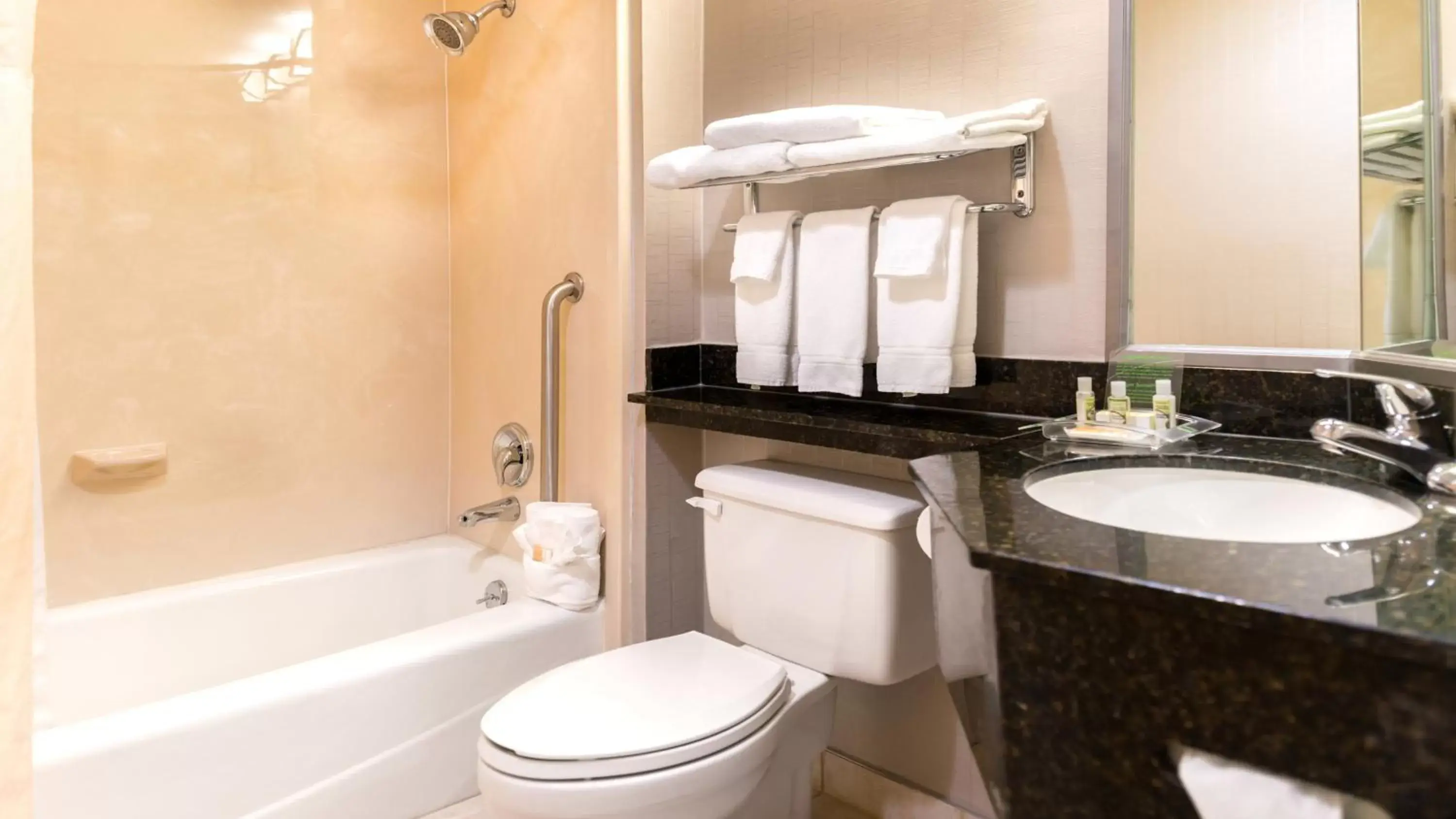 Bathroom in Holiday Inn Hotel & Suites Warren, an IHG Hotel