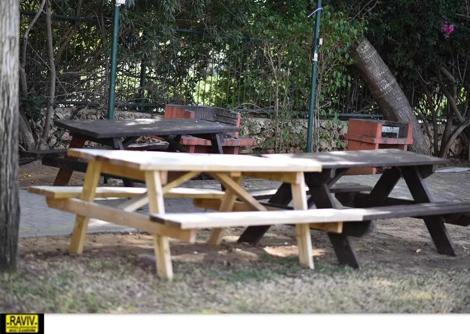 Garden in Suite Marina Caesarea