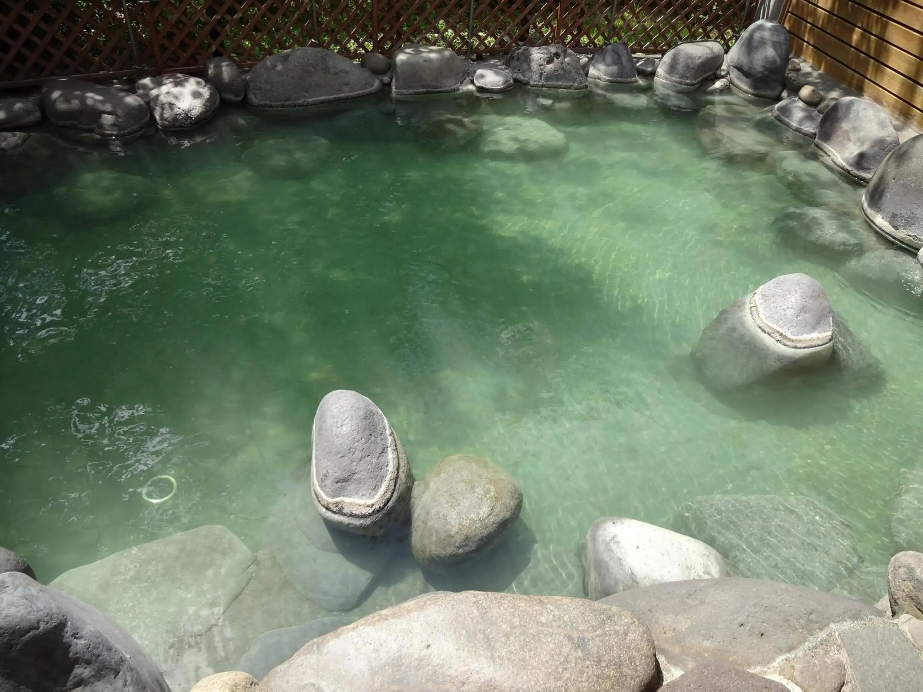 Hot Spring Bath, Swimming Pool in Chuzenji Kanaya Hotel