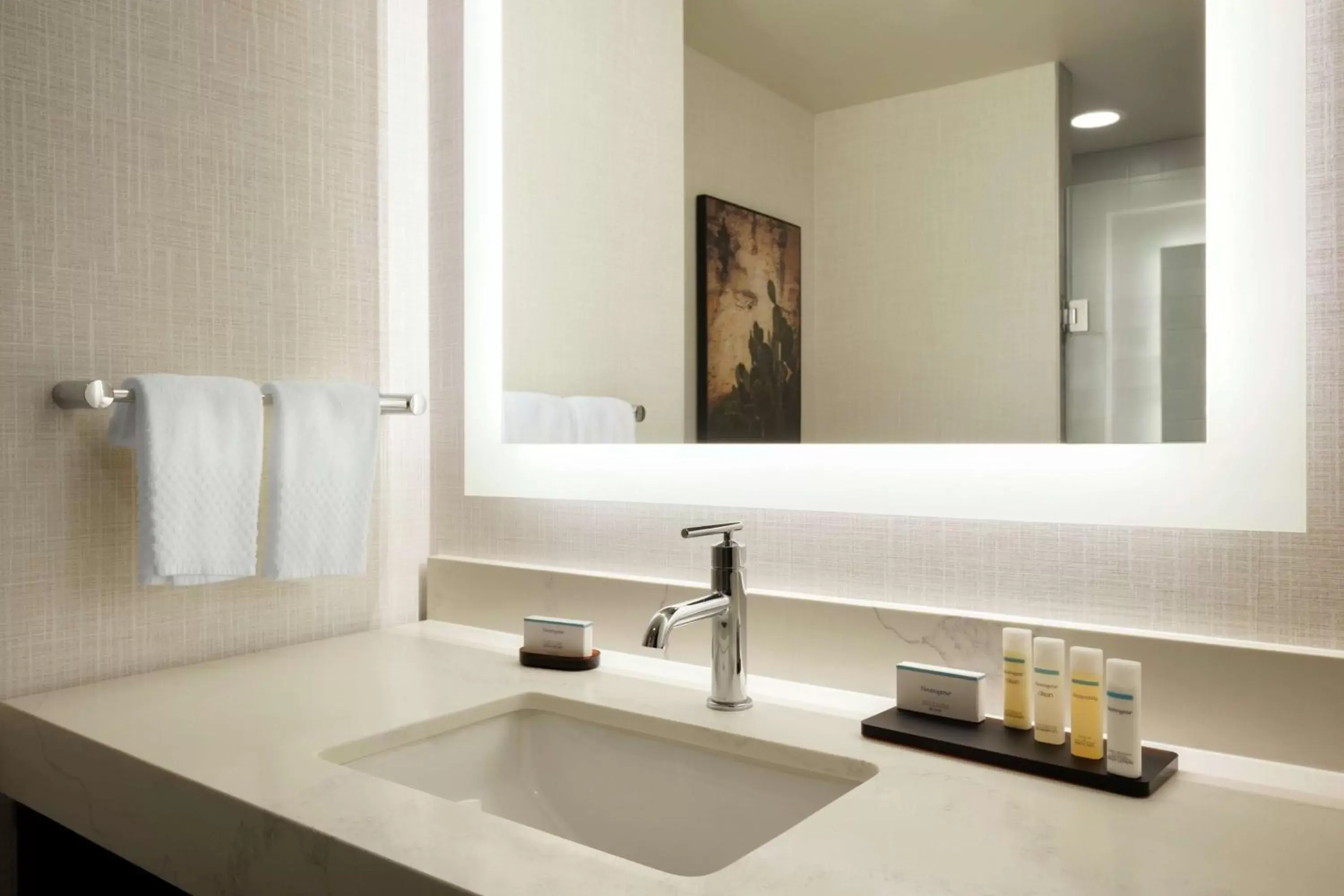 Bathroom in Embassy Suites By Hilton San Antonio Landmark