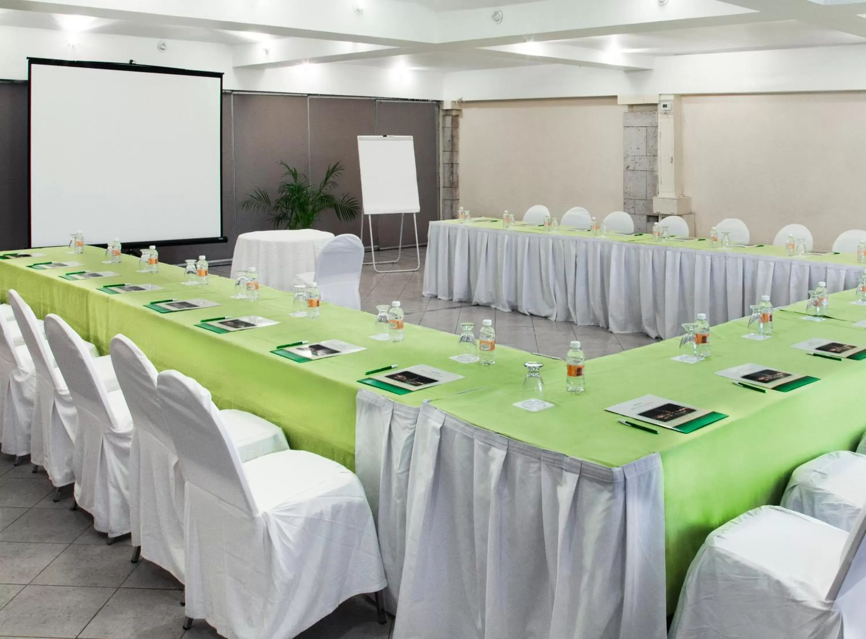 Banquet/Function facilities, Business Area/Conference Room in Hotel Viva Villahermosa