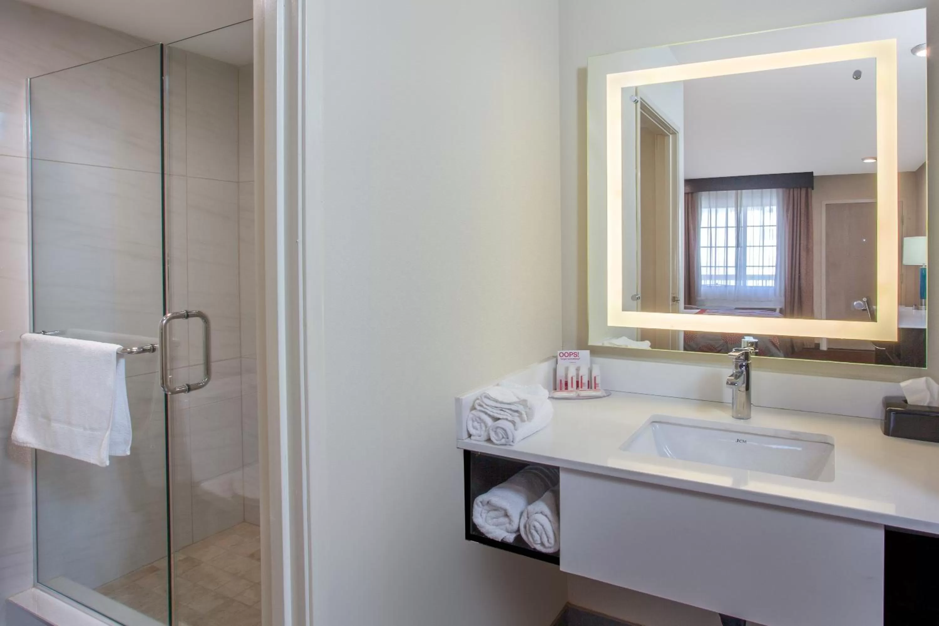 Bathroom in Ramada by Wyndham Culver City