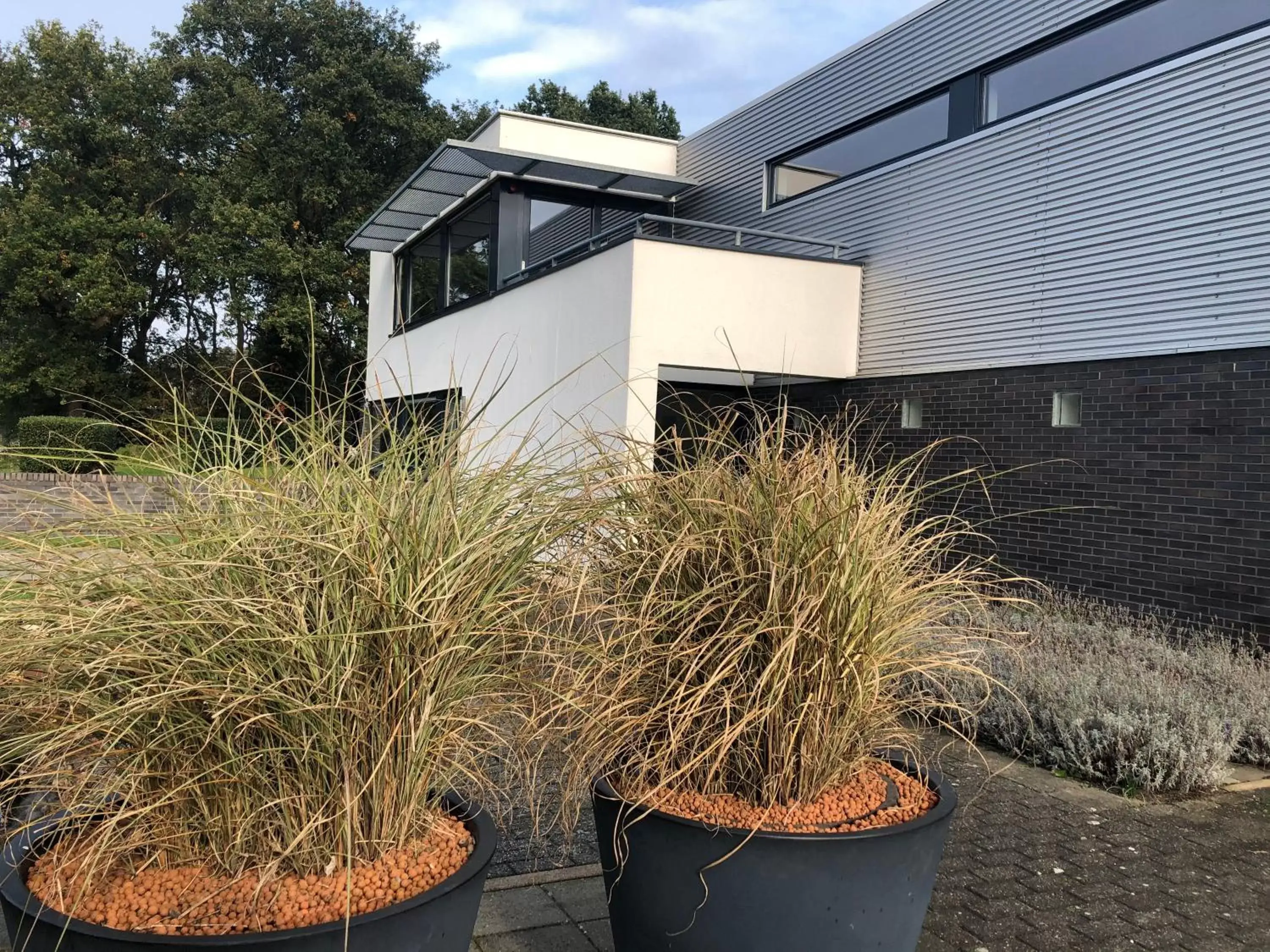 Garden, Property Building in BEDbijPET