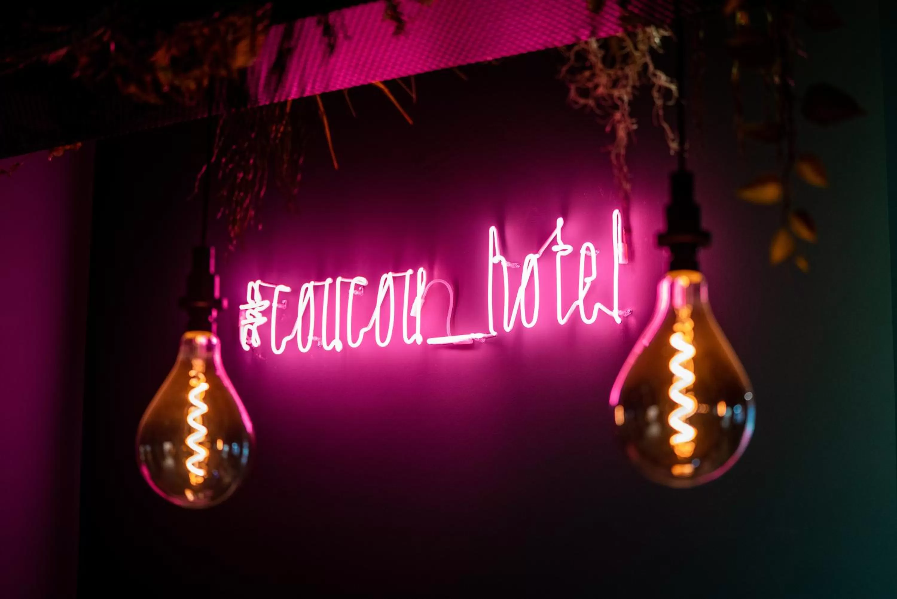 Property logo or sign in coucou hotel & kuckucks-stube (Titisee)