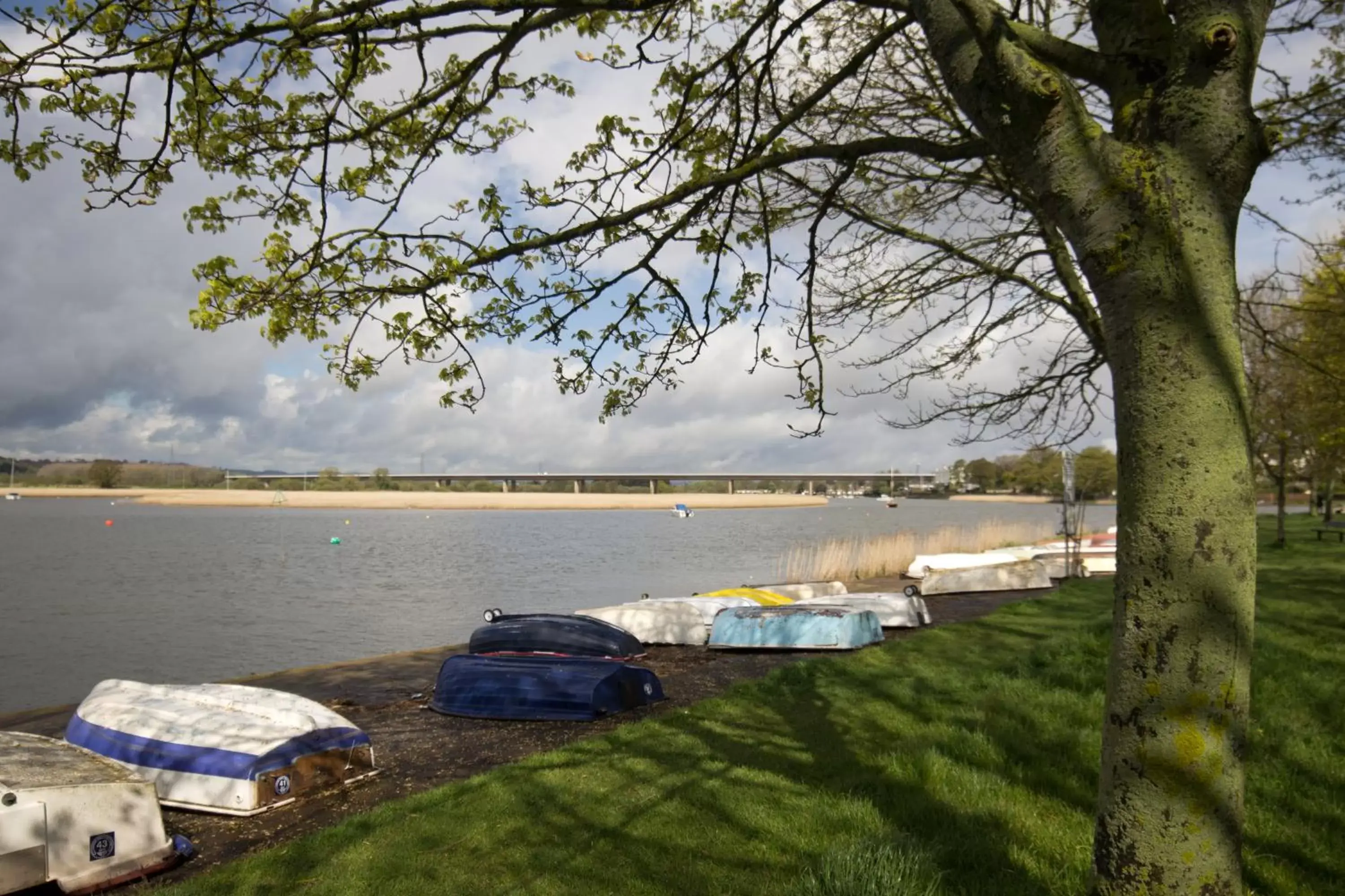 Area and facilities, Beach in The Globe