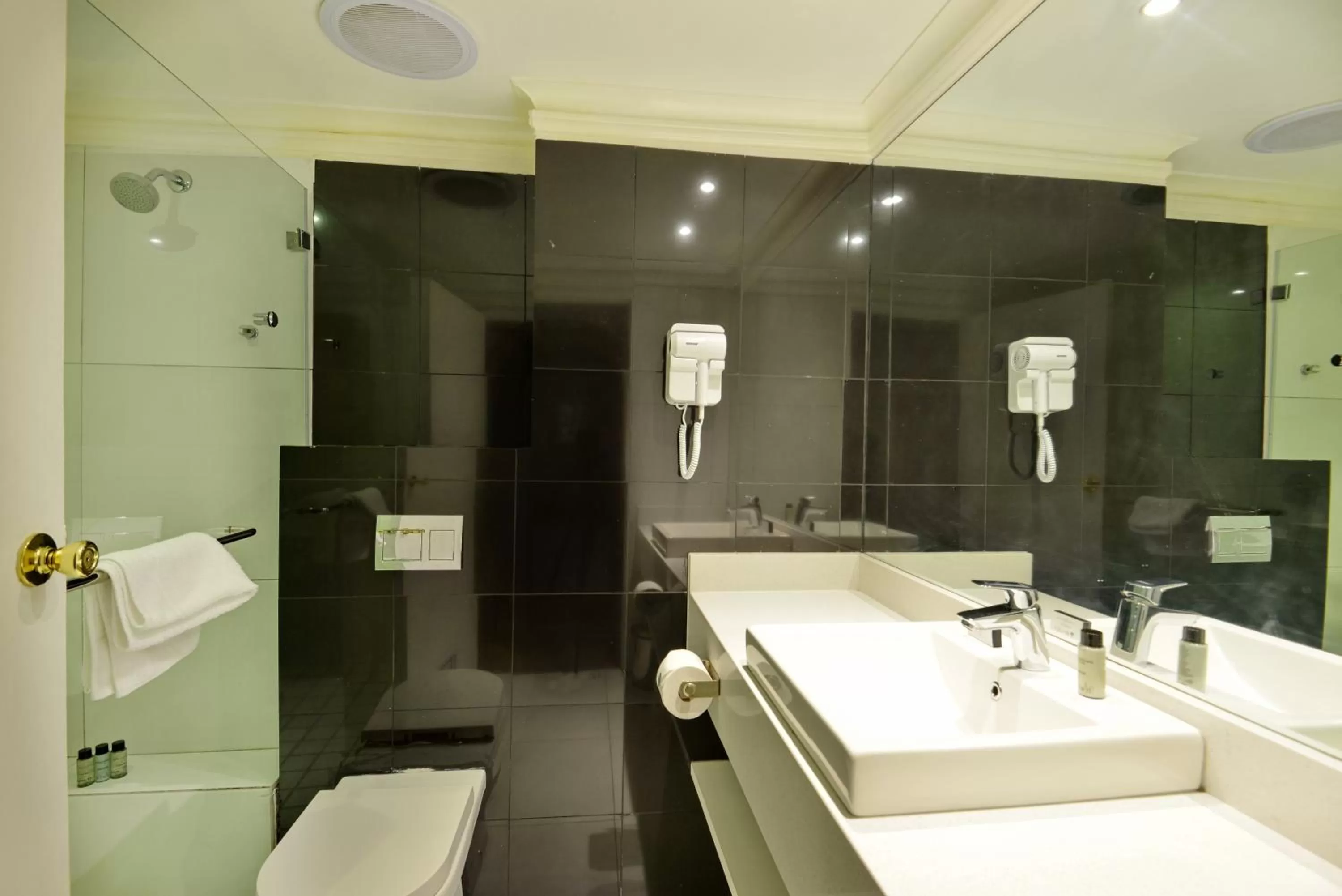 Shower in The Capetonian - Halal