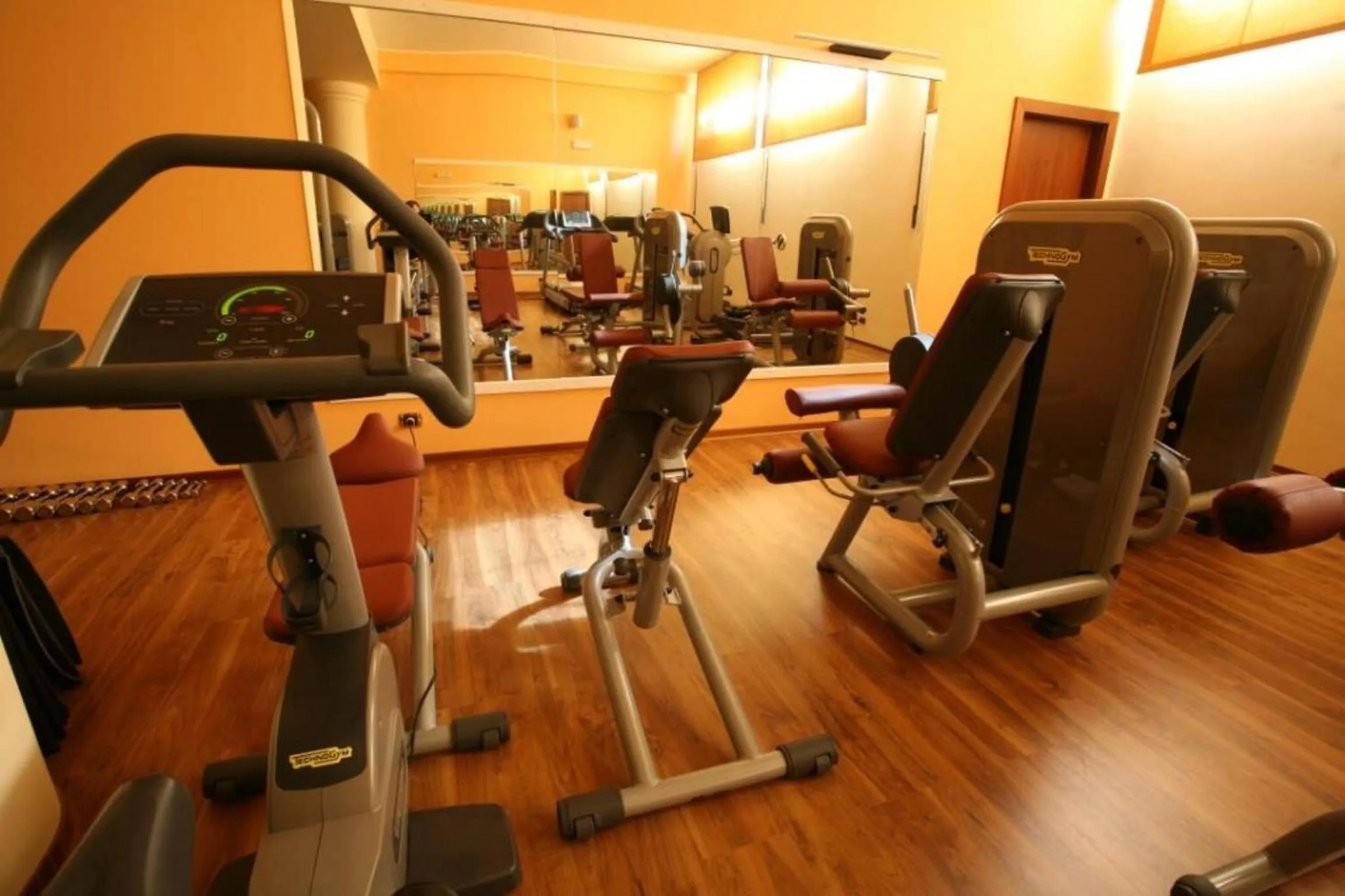 Fitness centre/facilities in Hotel Federico II