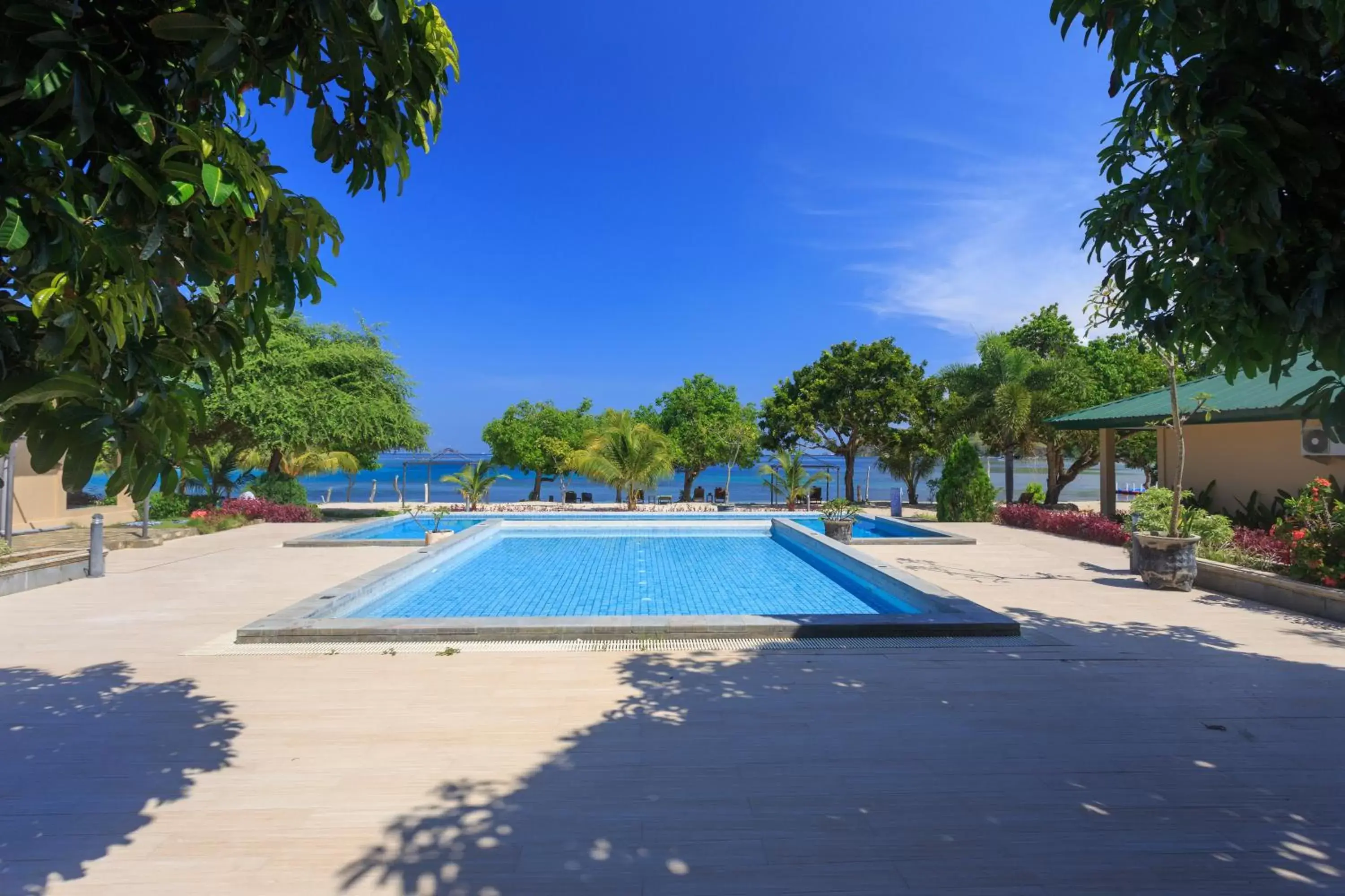 Pool view, Swimming Pool in Sylvia Beach Villa