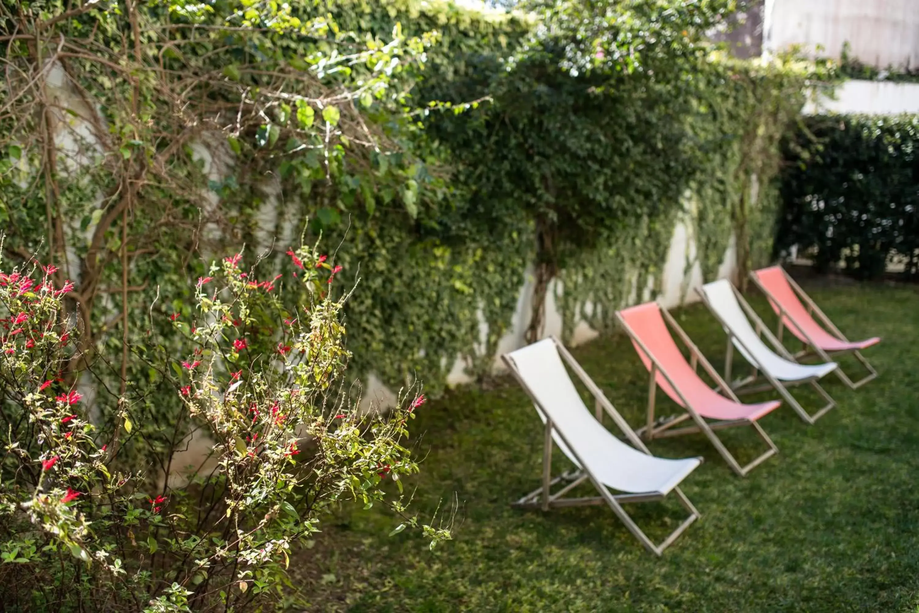 Garden in Decanting Porto House