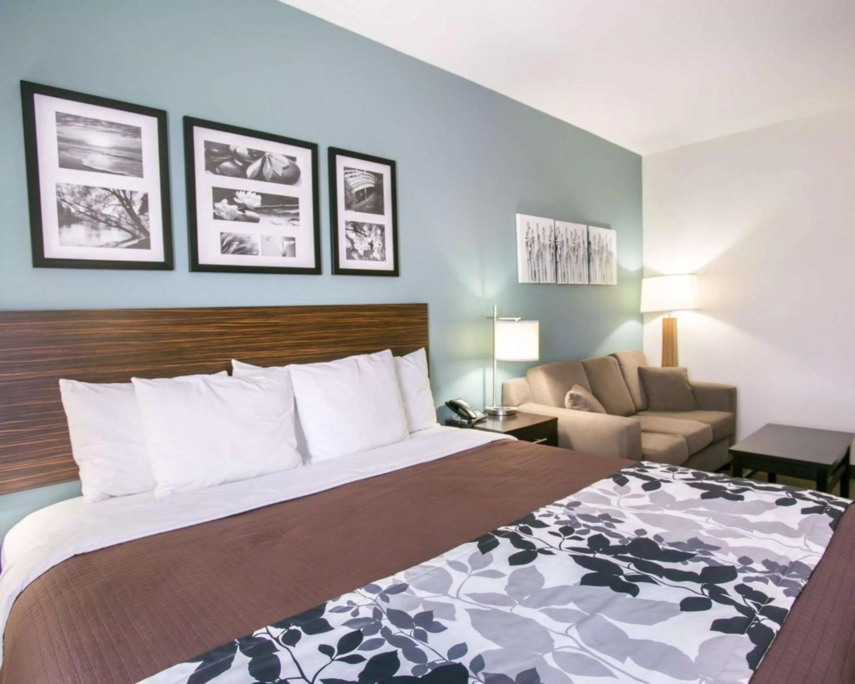 Photo of the whole room, Bed in Sleep Inn & Suites Austin North - I-35
