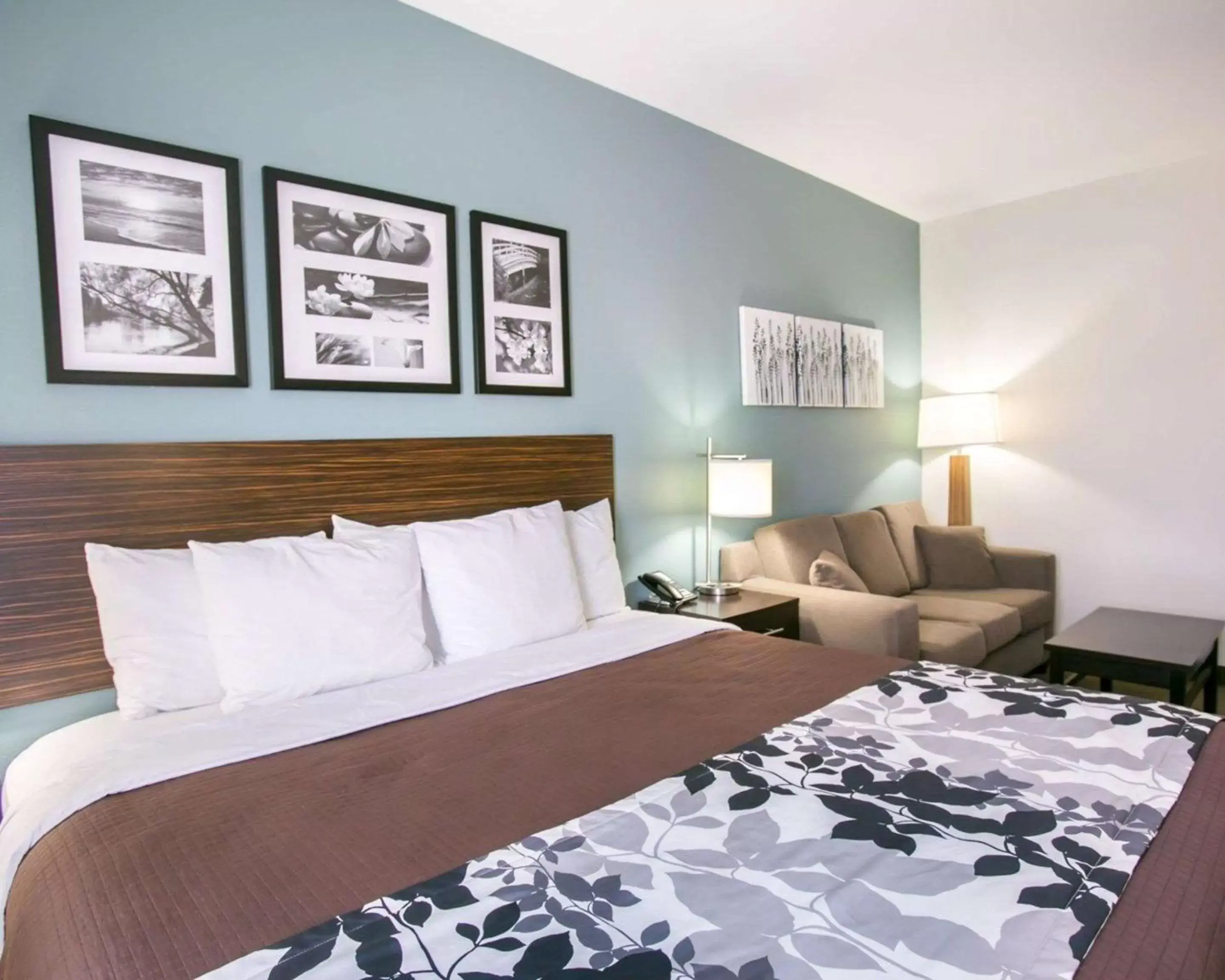 Photo of the whole room, Bed in Sleep Inn & Suites Austin