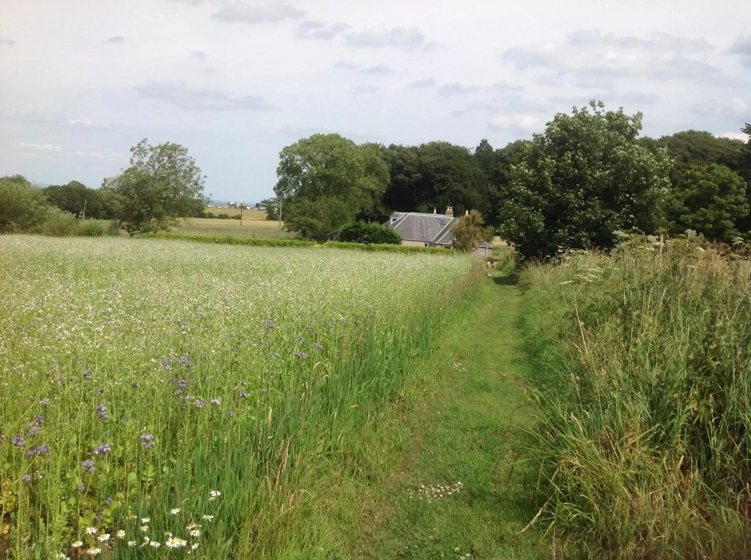 Natural landscape, Garden in Balmungo Cottage B&B