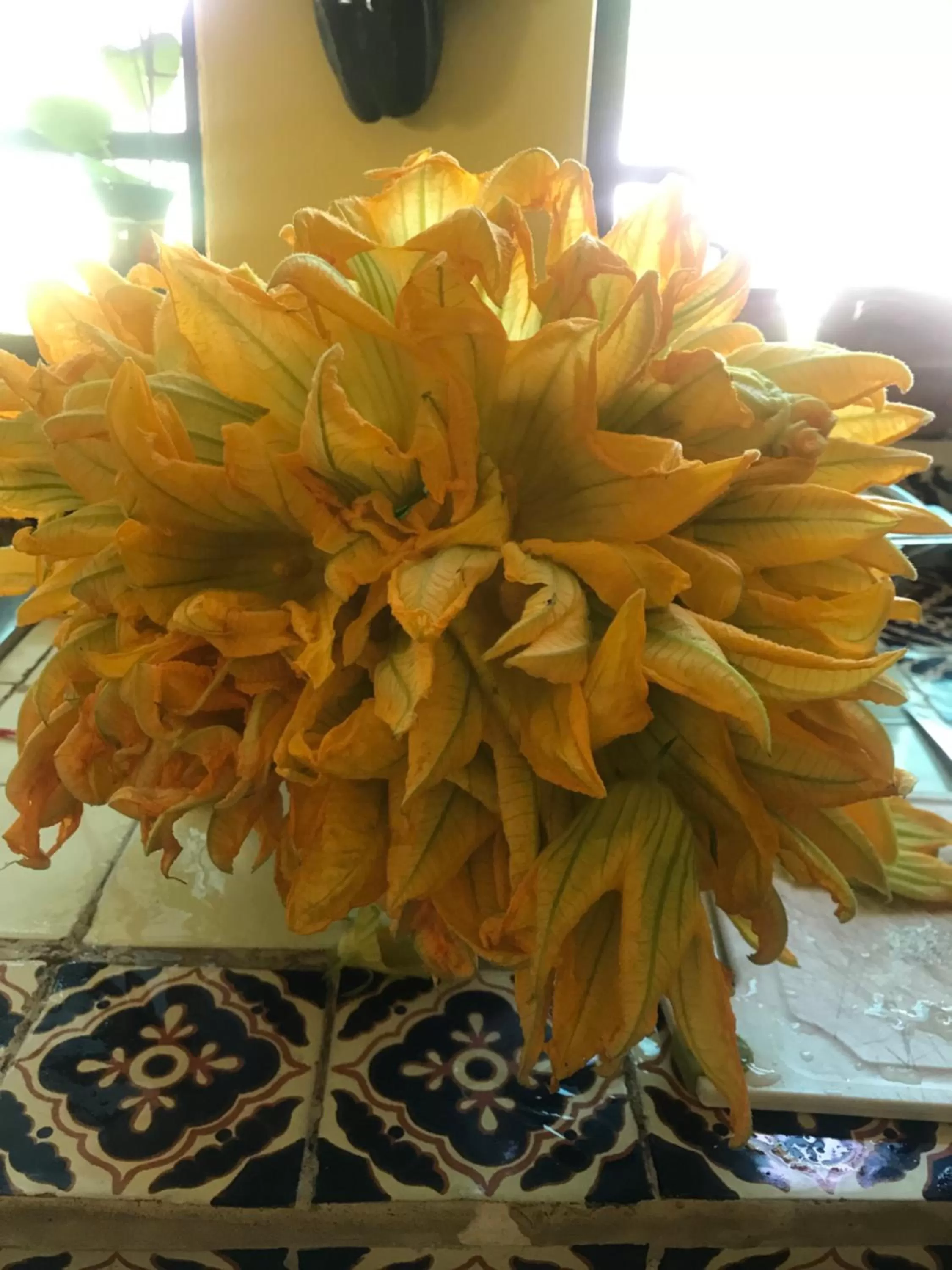 La Casa de los Globos