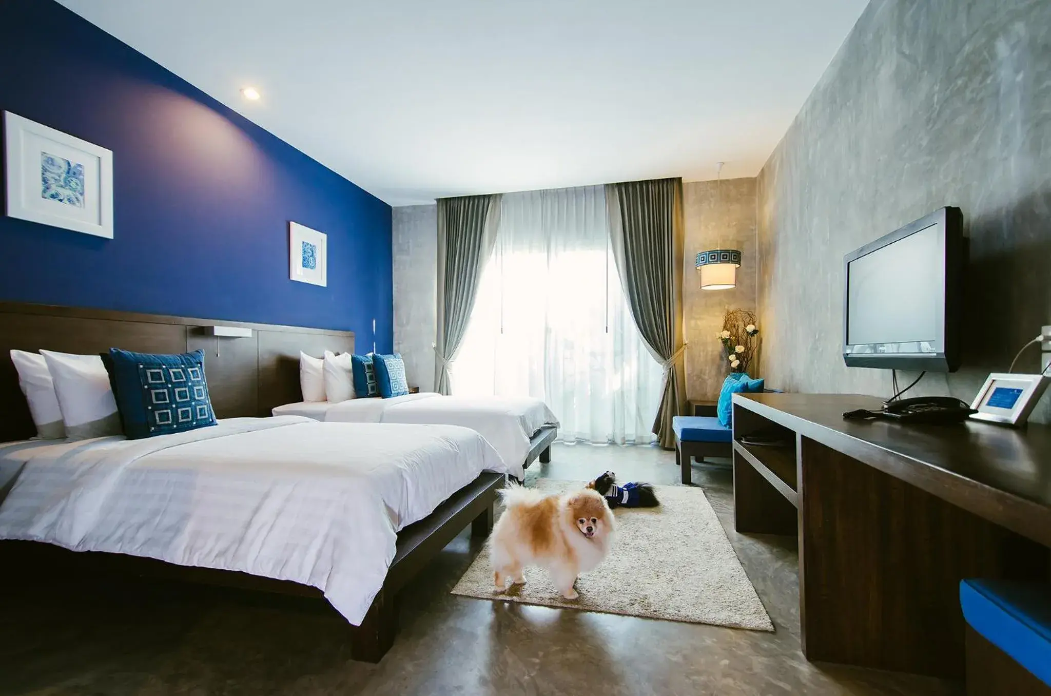Photo of the whole room in Ketawa Pet Friendly Hotel