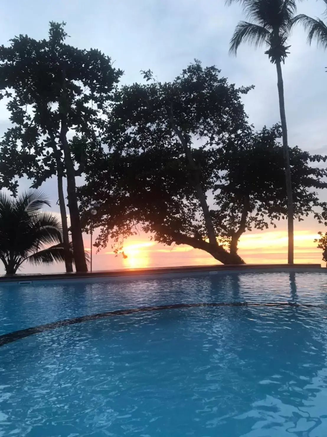 Swimming Pool in Cookies Hotel