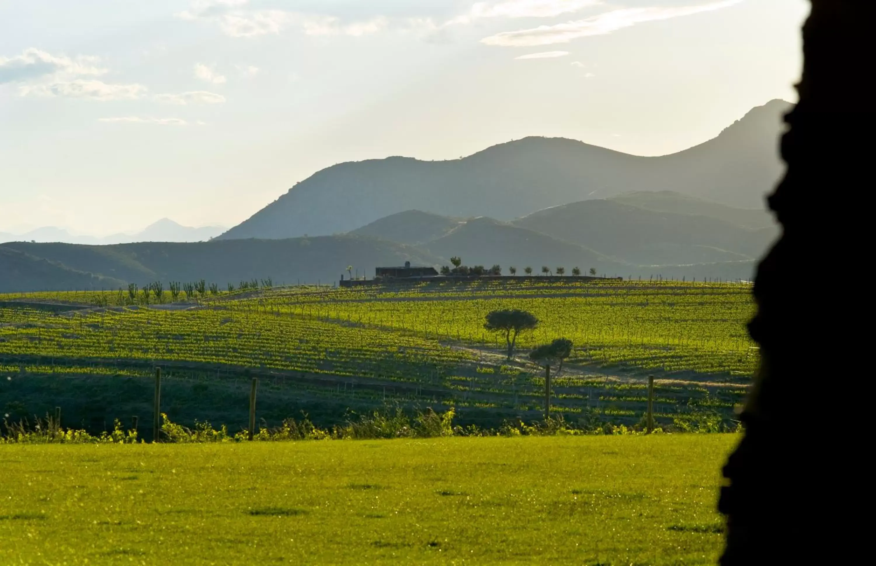 Area and facilities, Natural Landscape in Sa Perafita - MF